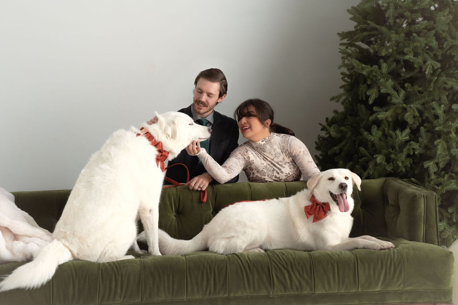 Couple sitting on green velvet sofa with two white Labrador dogs wearing red collars near a Christmas tree.