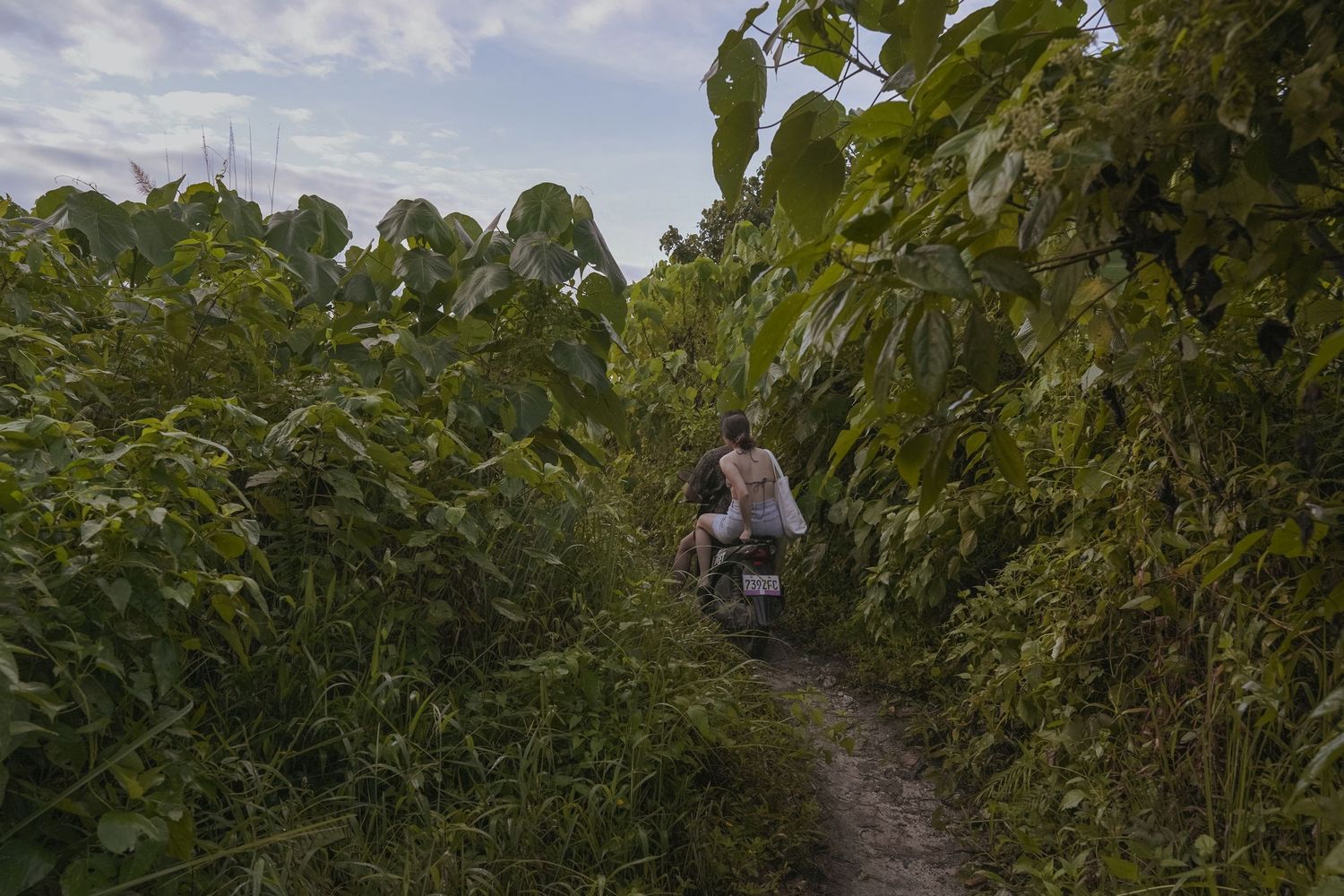 a photo of a couple on a motorcycle going through bushes