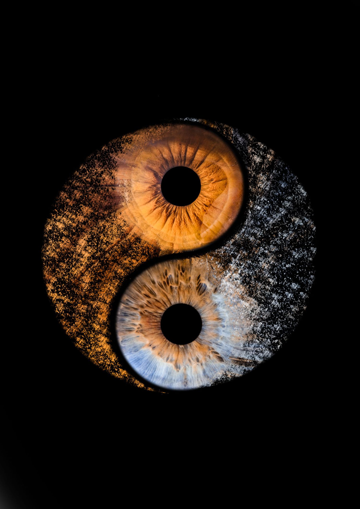 Photographie iris yin yang