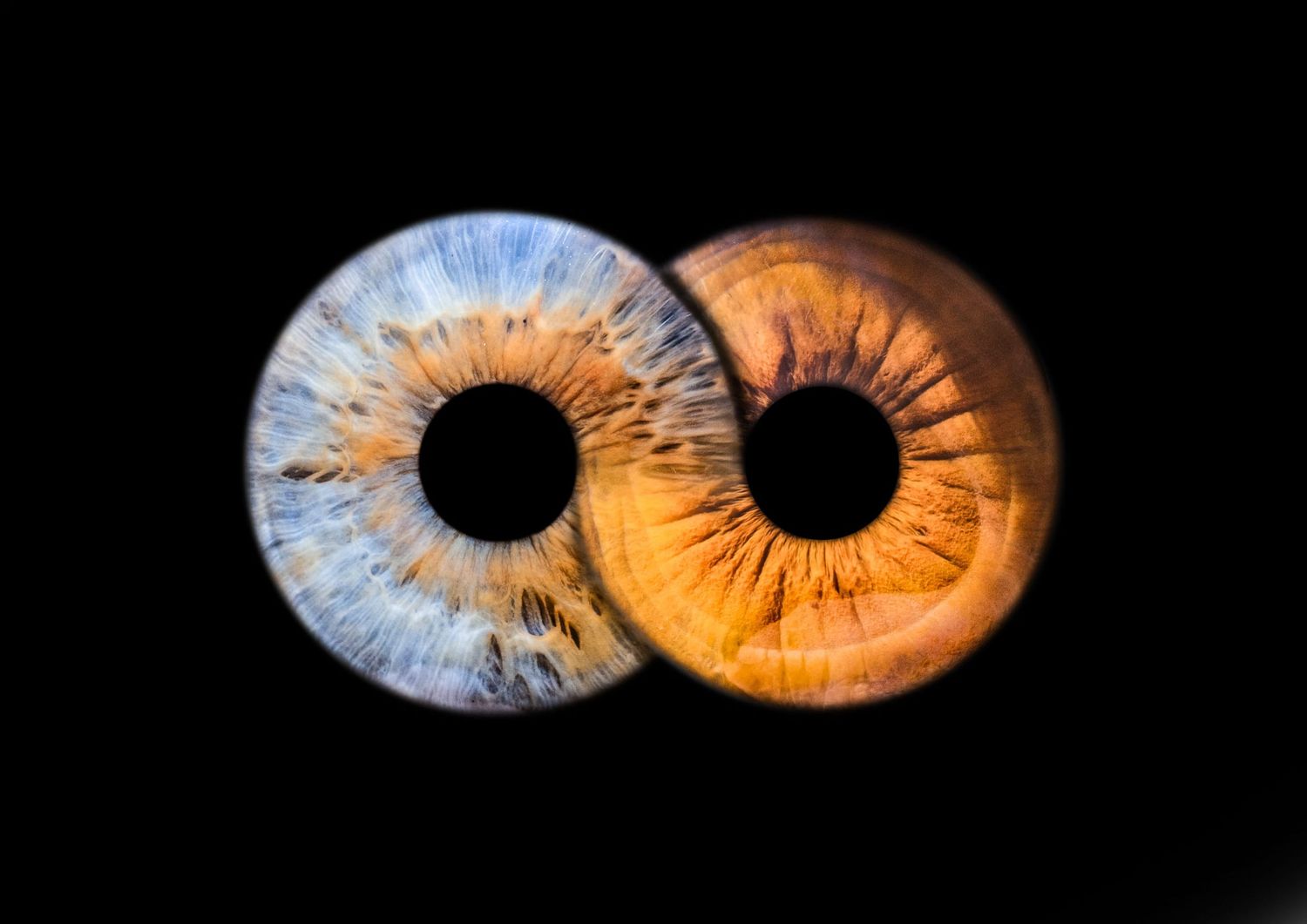 Photographie iris infini