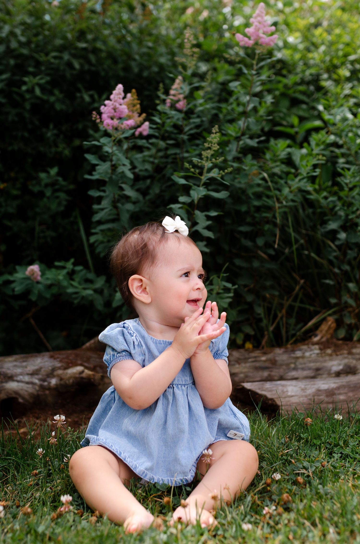 Adorable baby girl in blue dress with white bow sitting on grass clapping hands near blooming pink flowers.