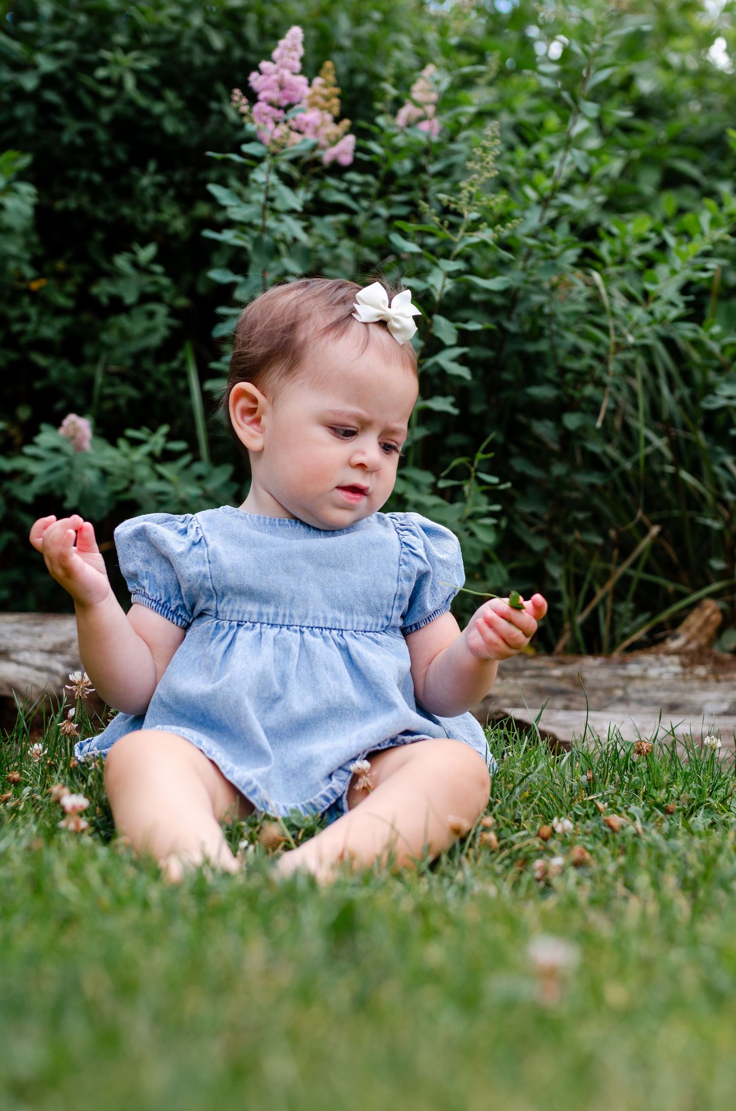 Baby girl in blue denim dress with white hair bow sitting on green grass examining something in her hands.