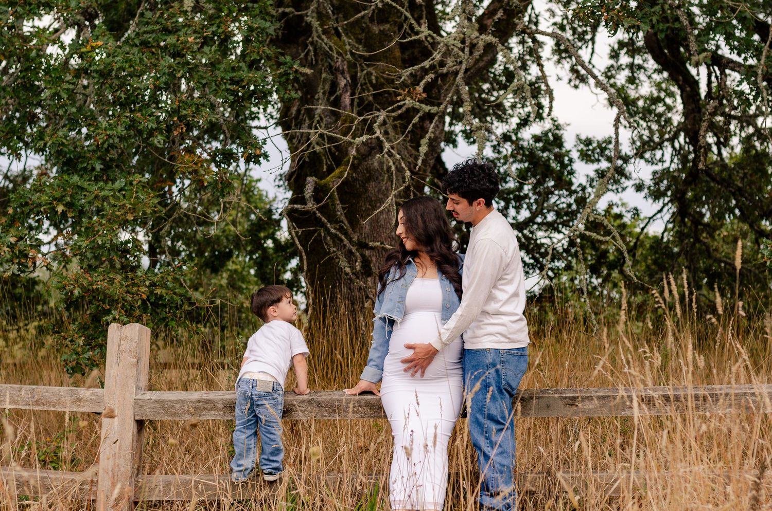 Family maternity photo with toddler boy standing between parents by a wooden fence in a field.