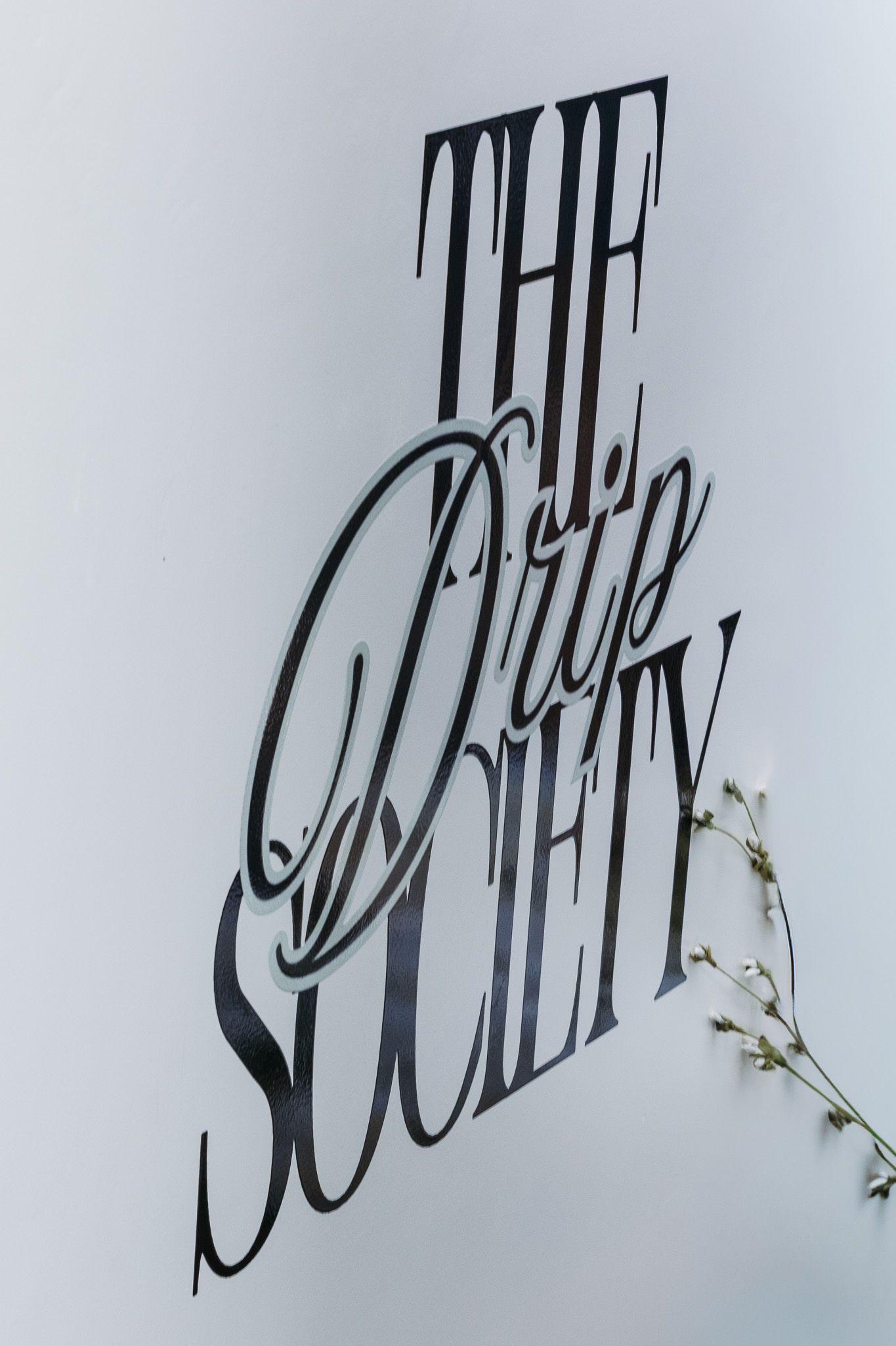 The Drip Society logo in elegant black script lettering mounted on a white wall with small white flowers.