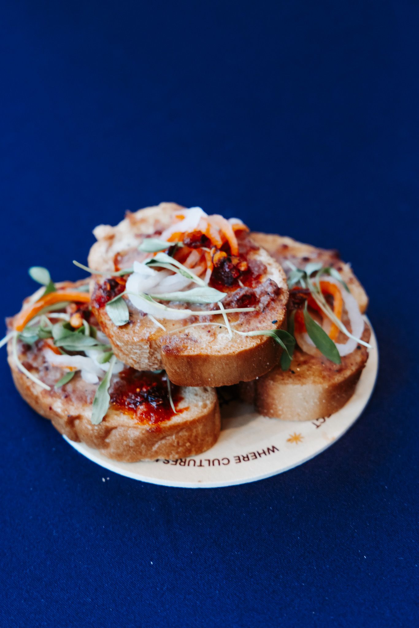Open-faced sandwich with sliced onions and toppings on rustic bread against dark blue background.