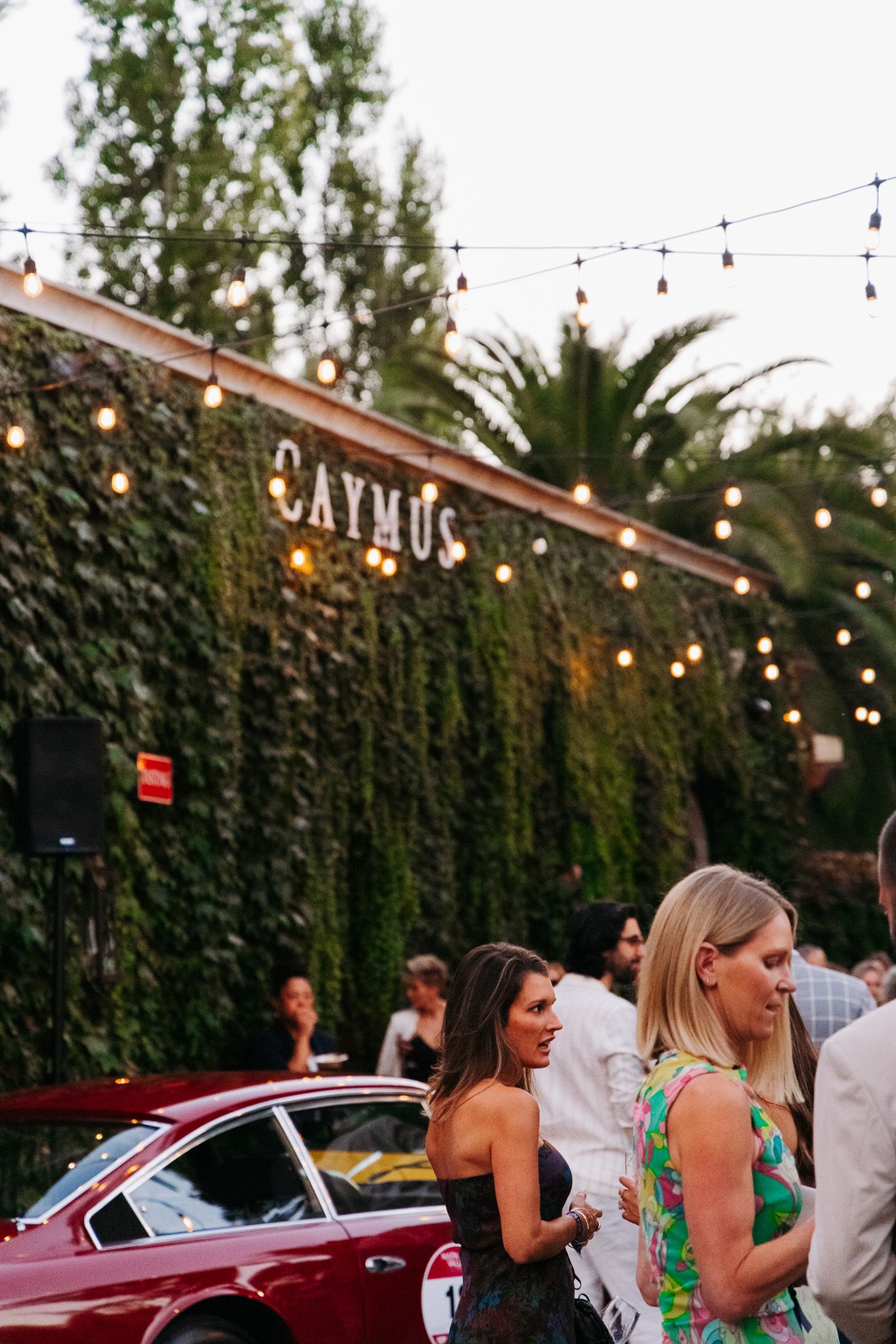 Guests mingling at an outdoor evening event with string lights and classic cars in the background.