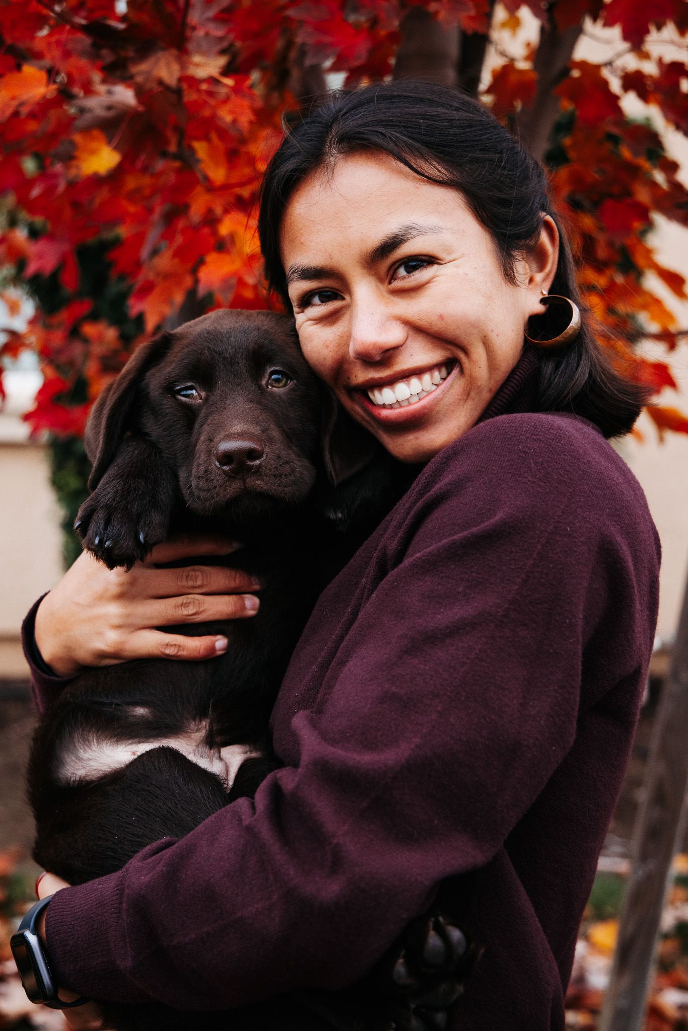 A chocolate Labrador puppy being held against a backdrop of vibrant red autumn leaves.
