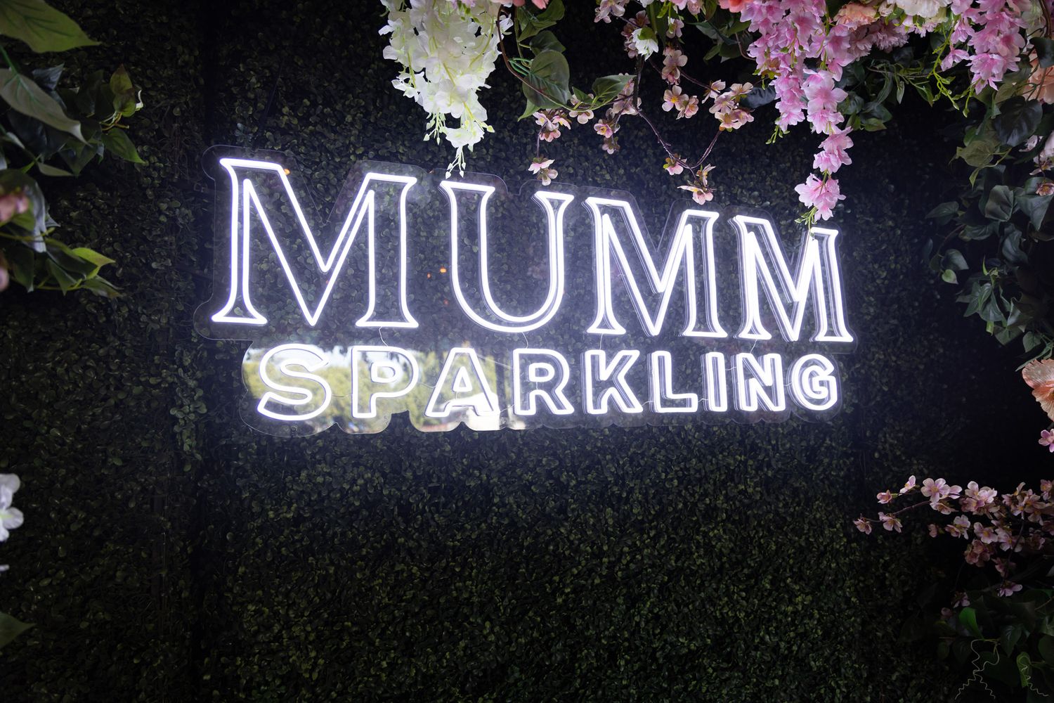 Illuminated Mumm champagne neon sign glows against dark background with pink cherry blossoms in soft focus.