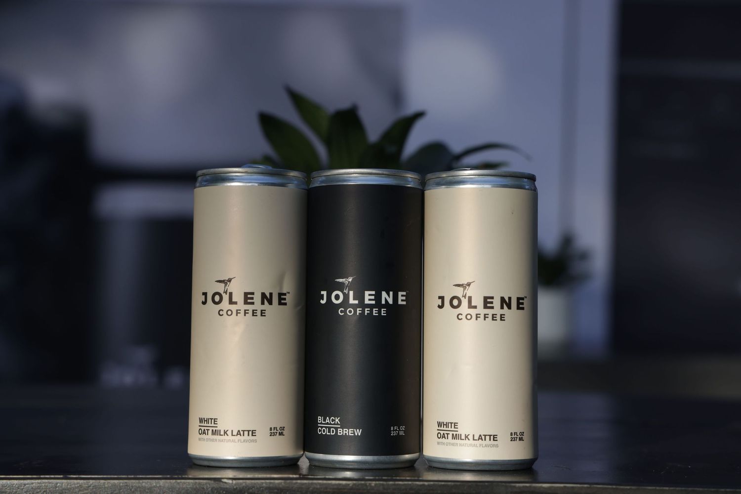 Row of minimalist silver and black Jolene coffee cans displayed on a dark surface.