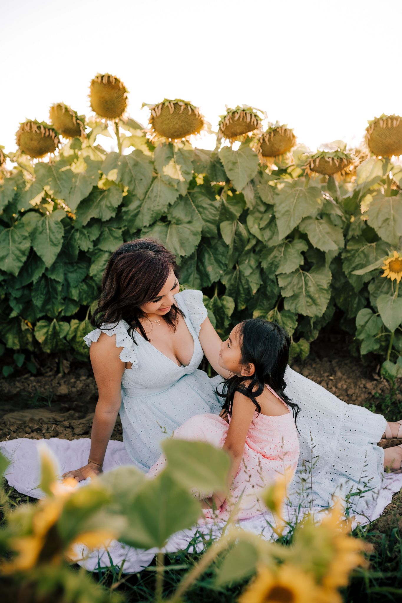 A tender moment shared between two people sitting among lush grapevines at sunset.