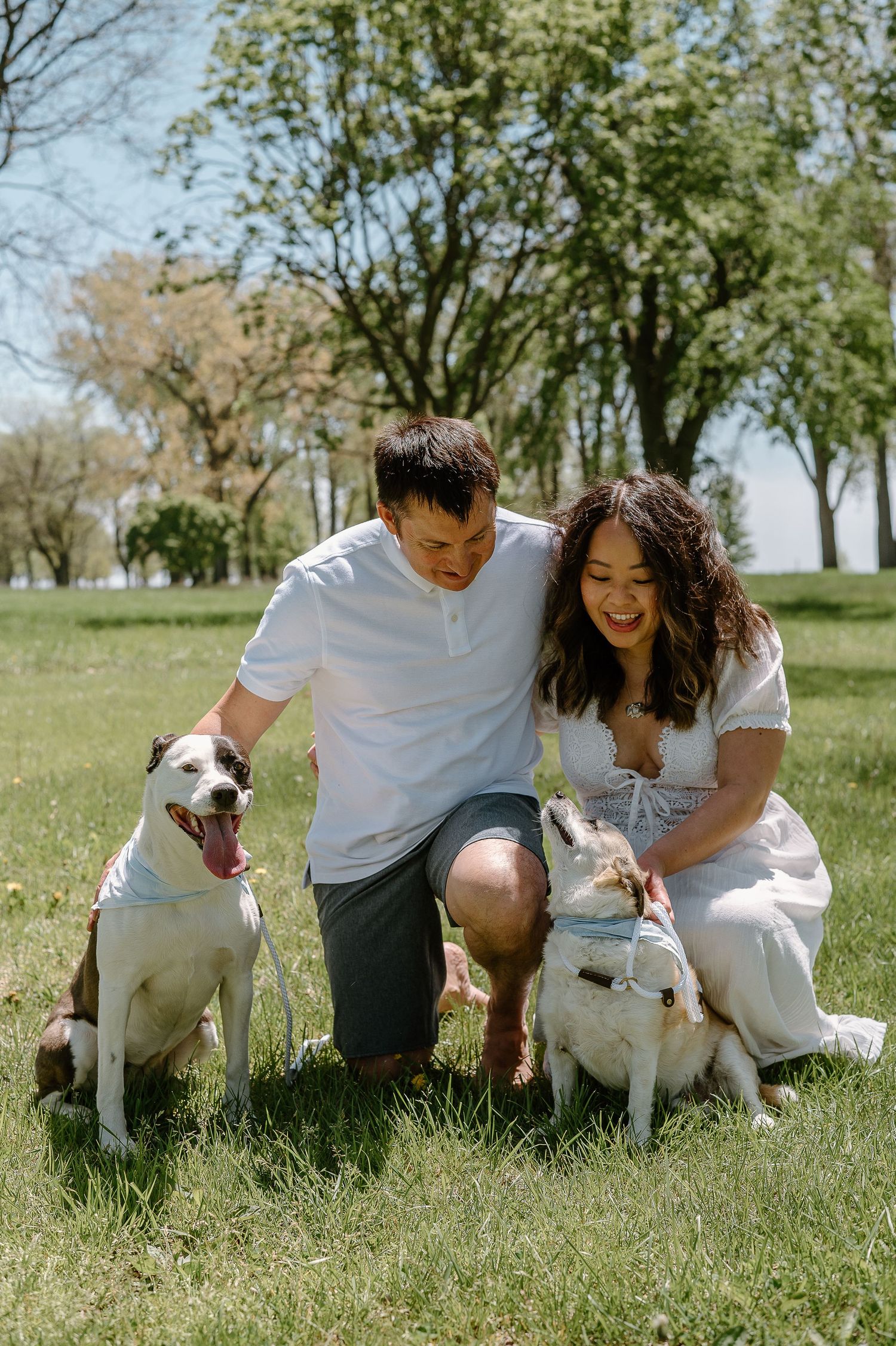 Couple sitting on grass with their happy white dog during outdoor photoshoot.