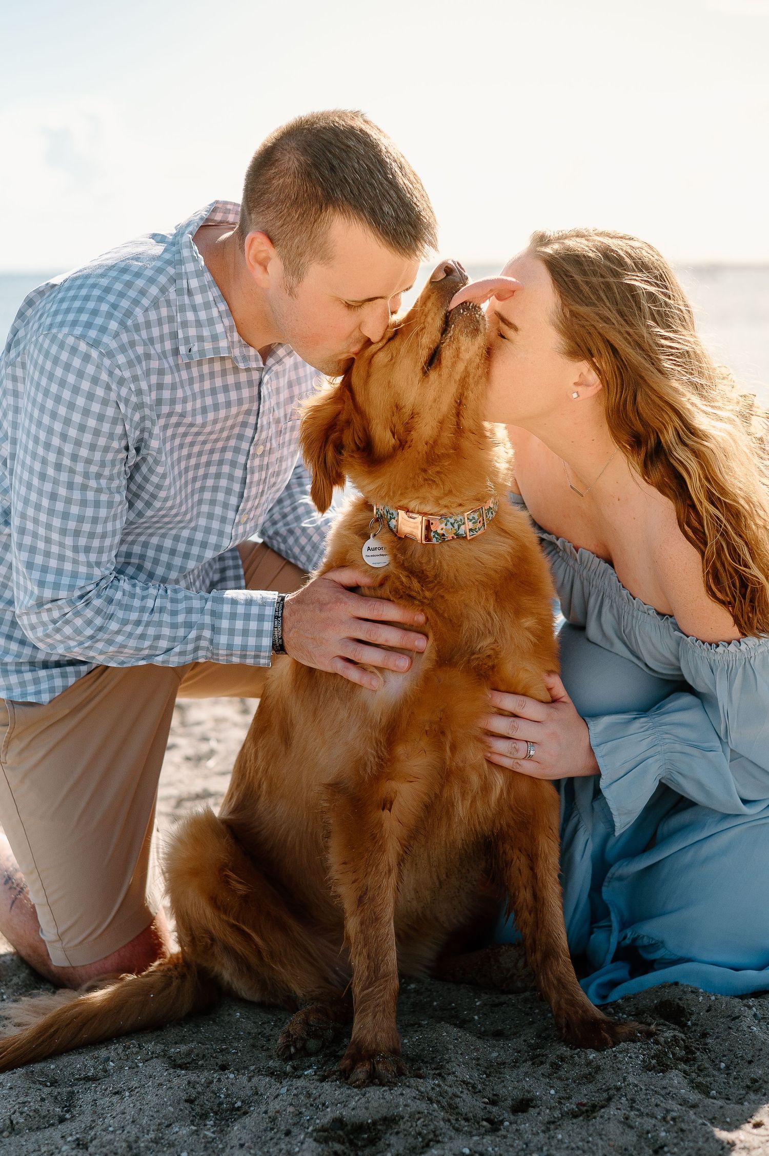 Sweet moments with a golden retriever dog on the beach sharing kisses with its owners.