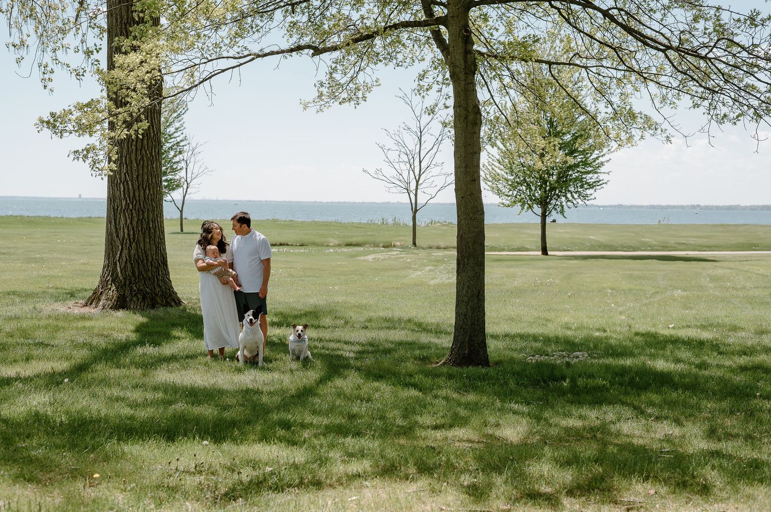 Scenic outdoor photoshoot location with trees and grassy field.