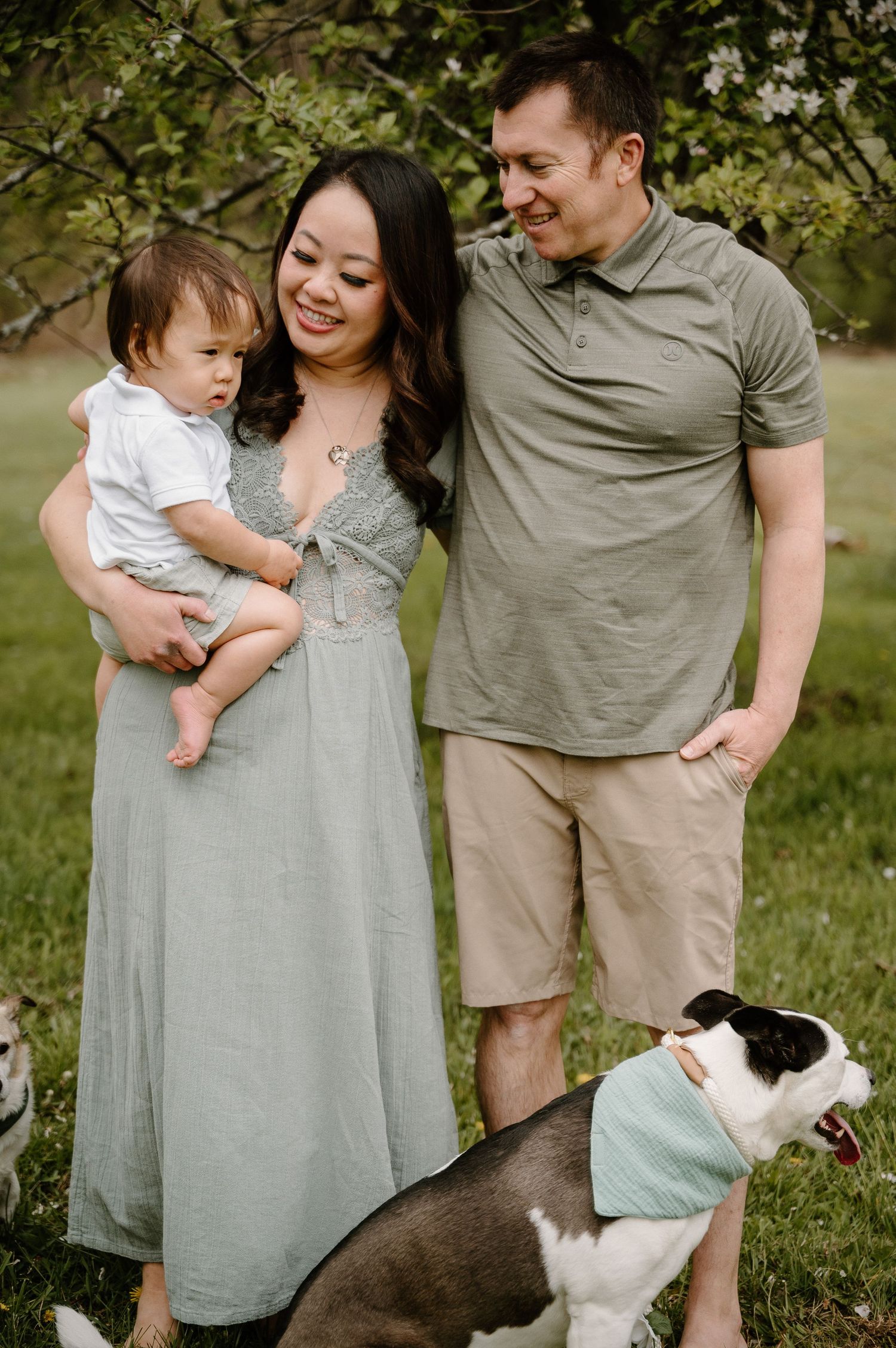 A happy family with a baby, a dog wearing a teal bandana, posing outdoors near blooming trees on green grass.