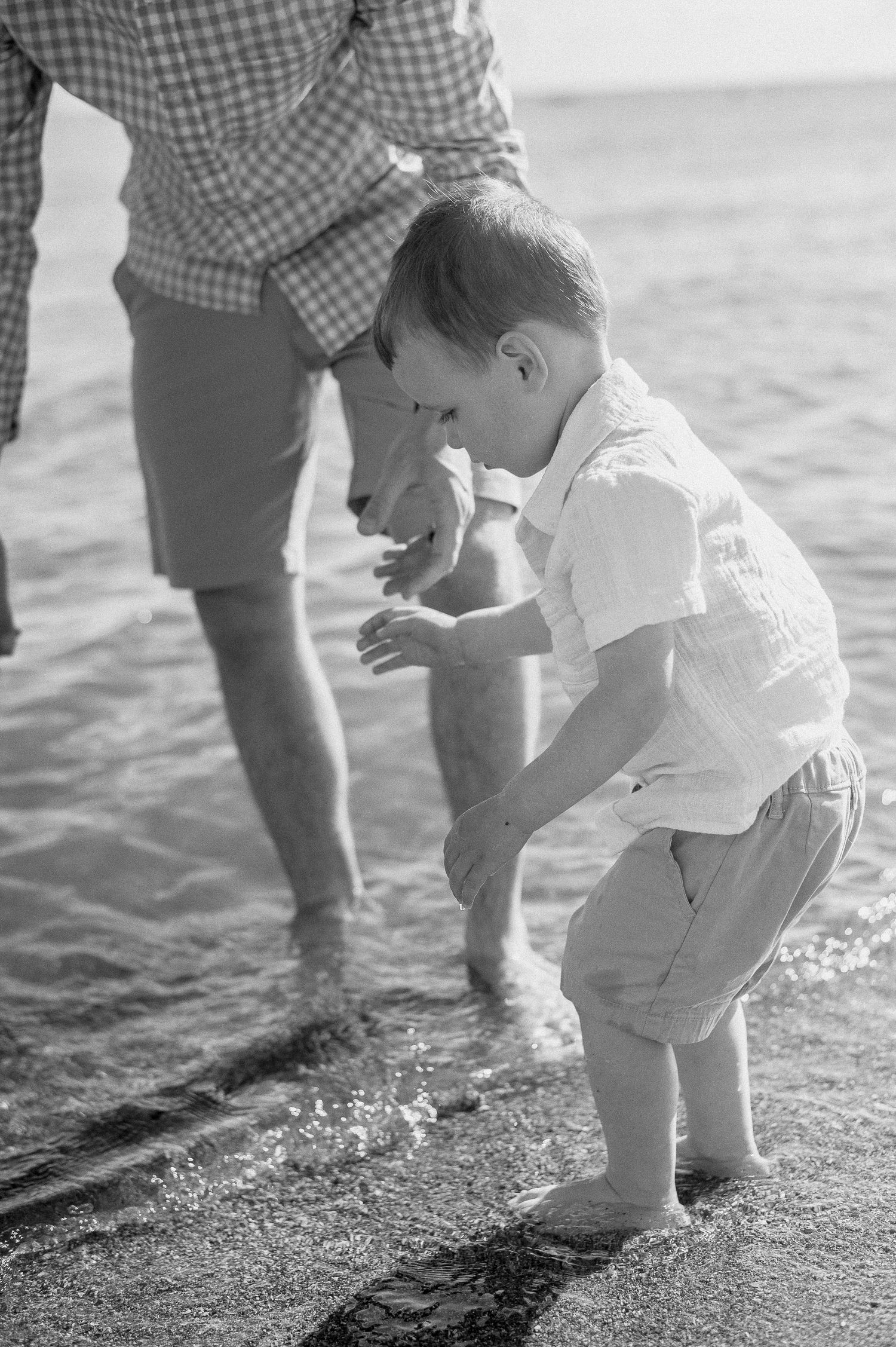 Exploring the shallow waters at the beach edge in black and white.