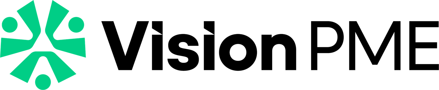 Modern business logo for Vision PME with green geometric symbol and black text.
