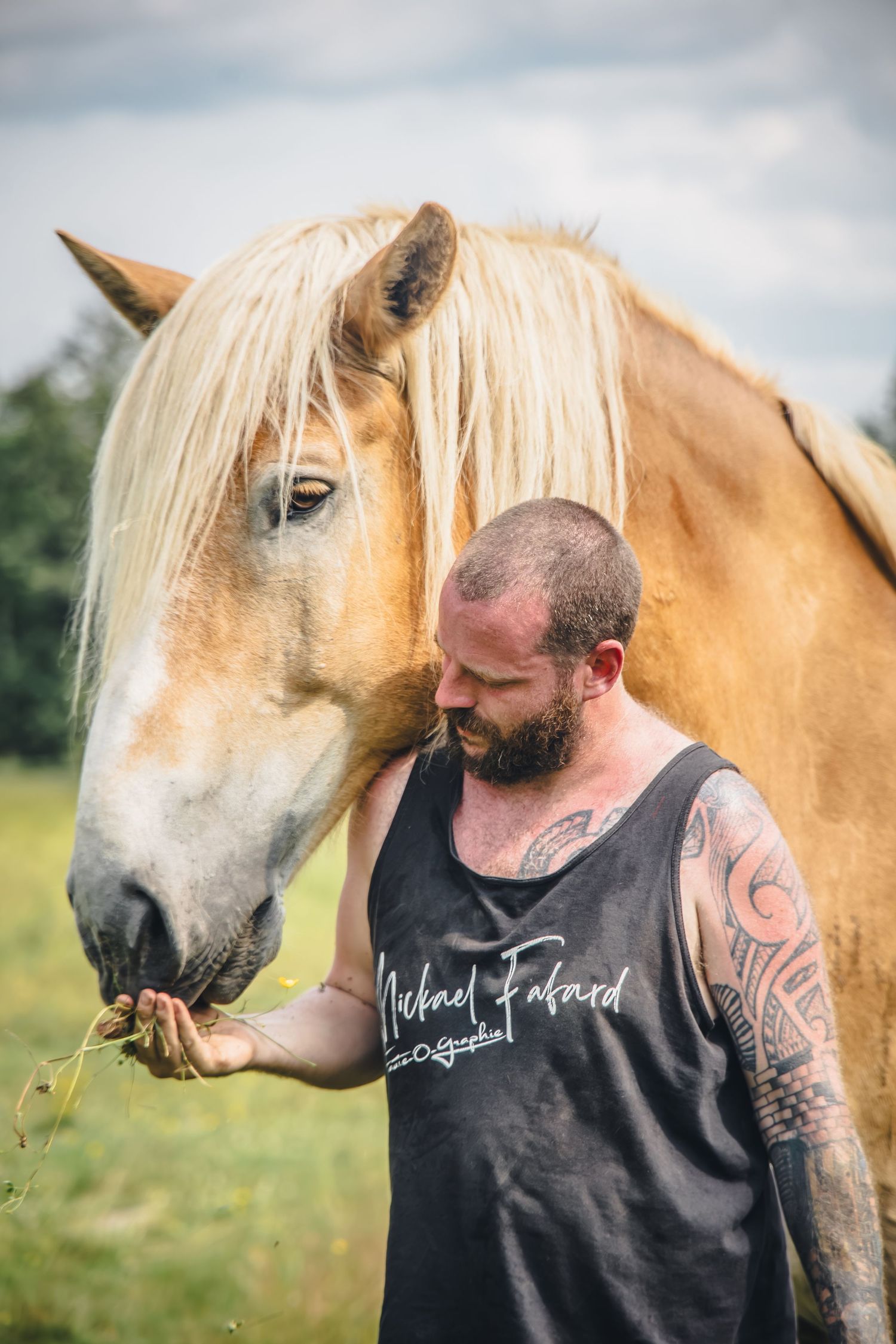 Palomino horse gently interacting with person wearing black shirt in grassy field.