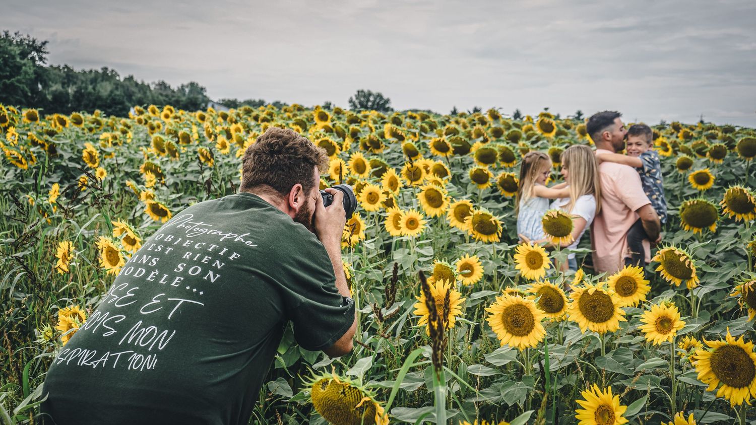 Beautiful panoramic view of a sunflower field with cloudy sky.