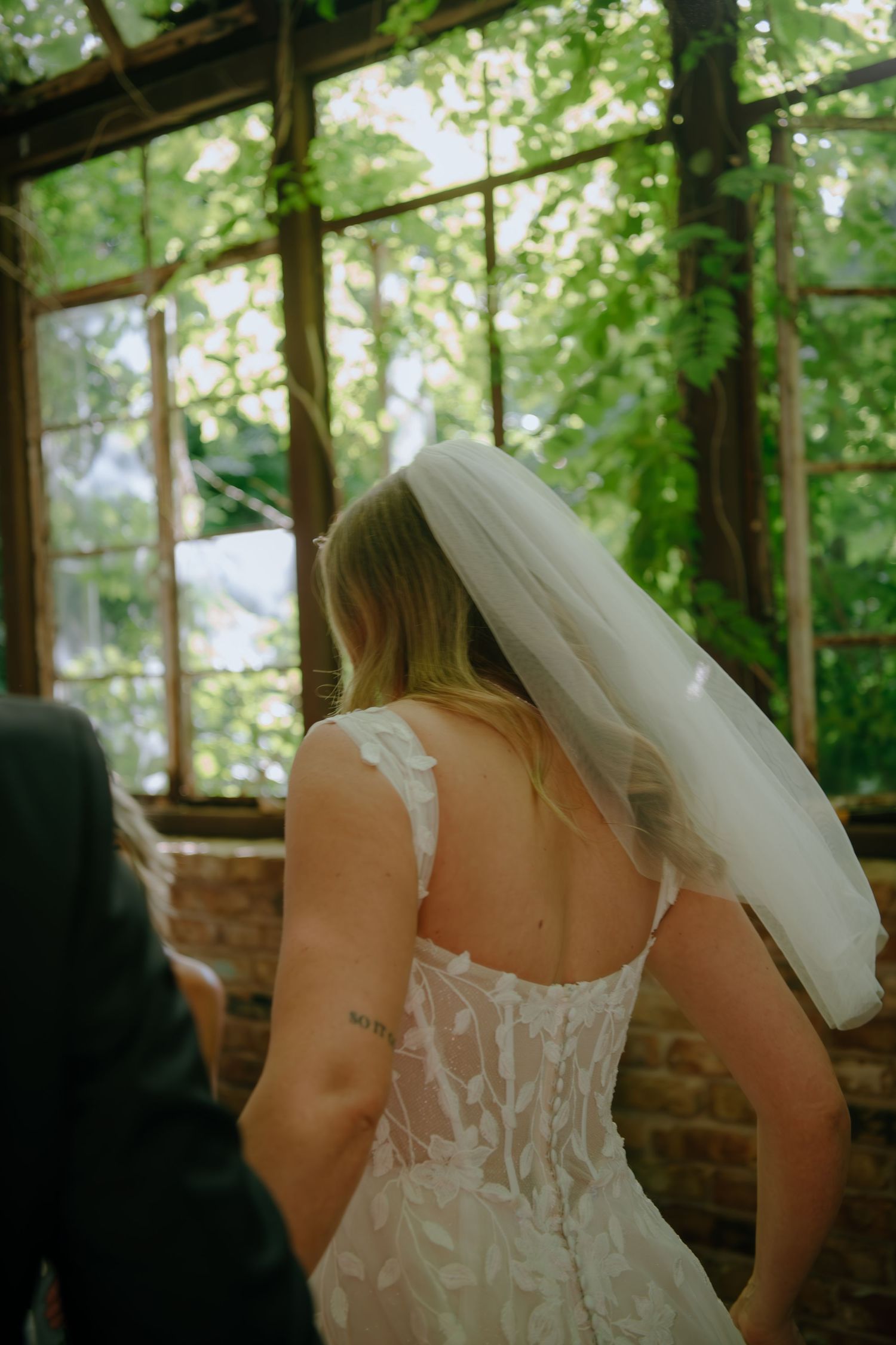Back view of a wedding dress showing intricate lace details in a greenhouse setting.