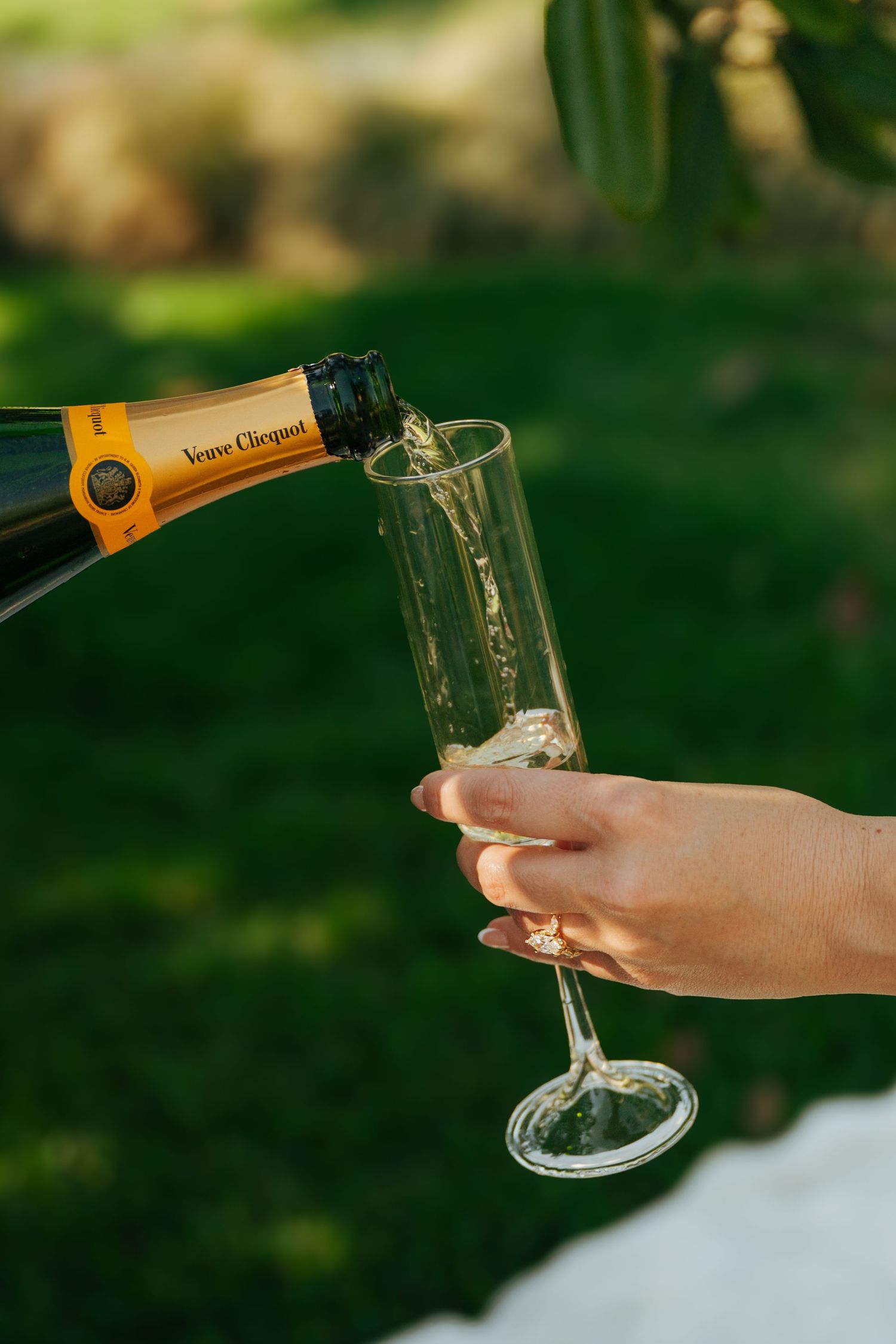Hand holding a champagne flute being filled with Veuve Clicquot champagne outdoors in a lush green garden.