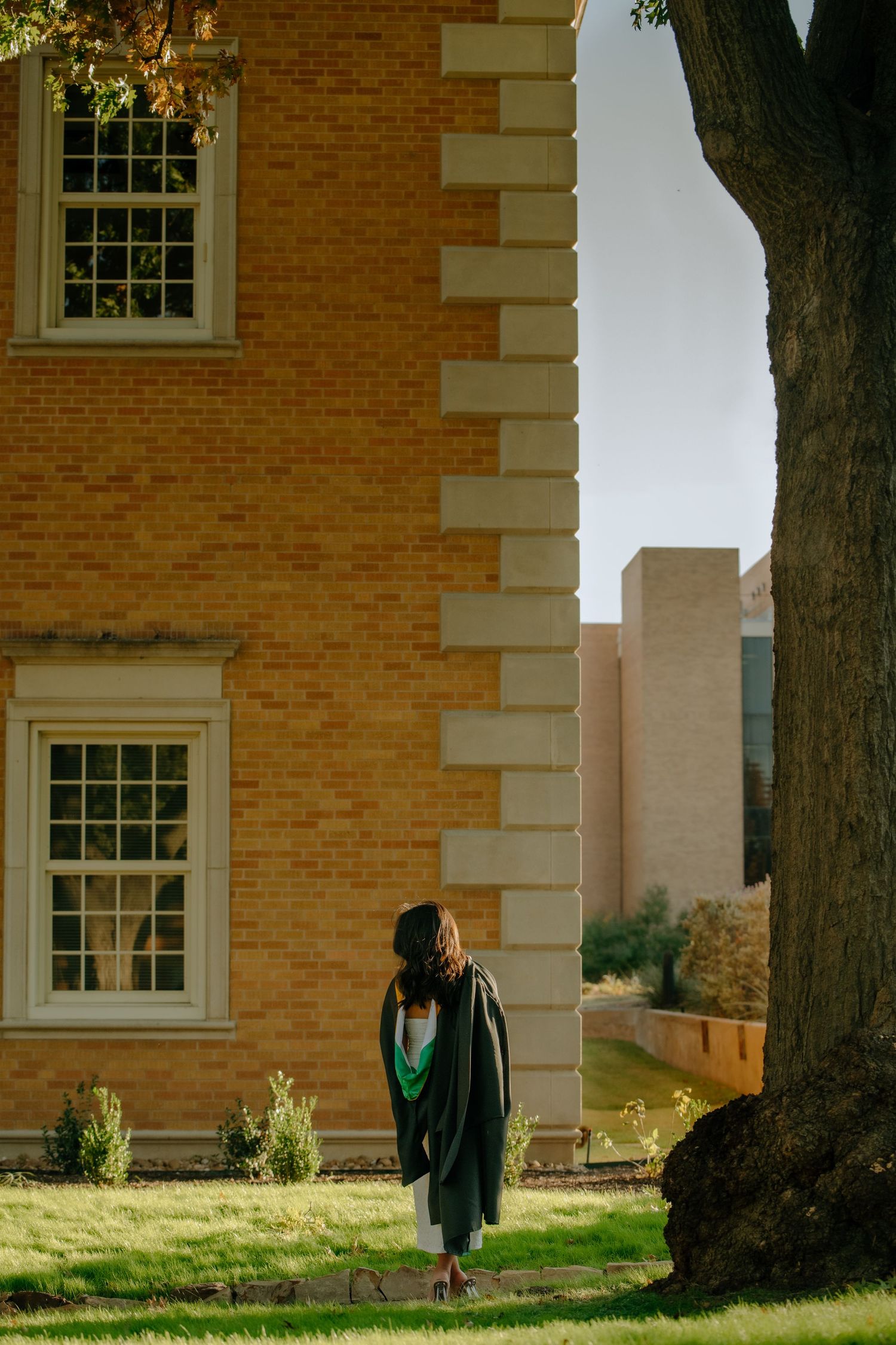 A brick building with white trim and tall windows stands behind a large tree trunk in golden afternoon sunlight.