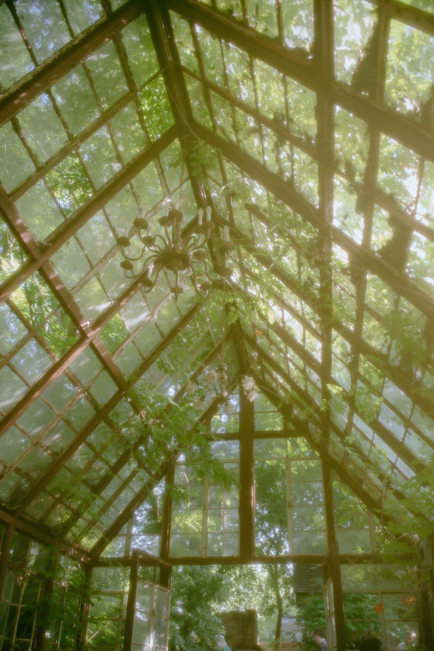 Sunlight streams through glass panels of an abandoned greenhouse with brick walls and geometric architectural details.