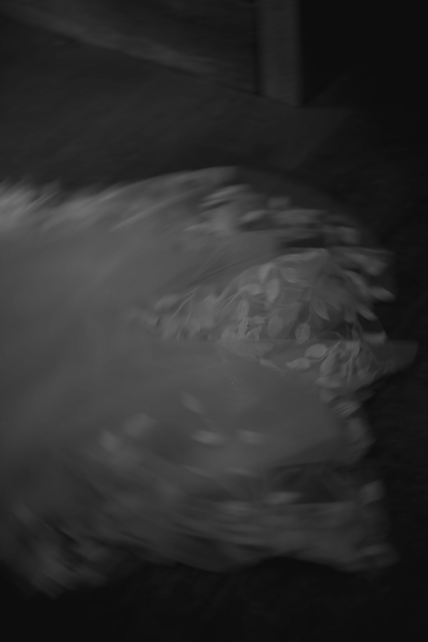 Abstract black and white textural photograph with soft flowing movement.