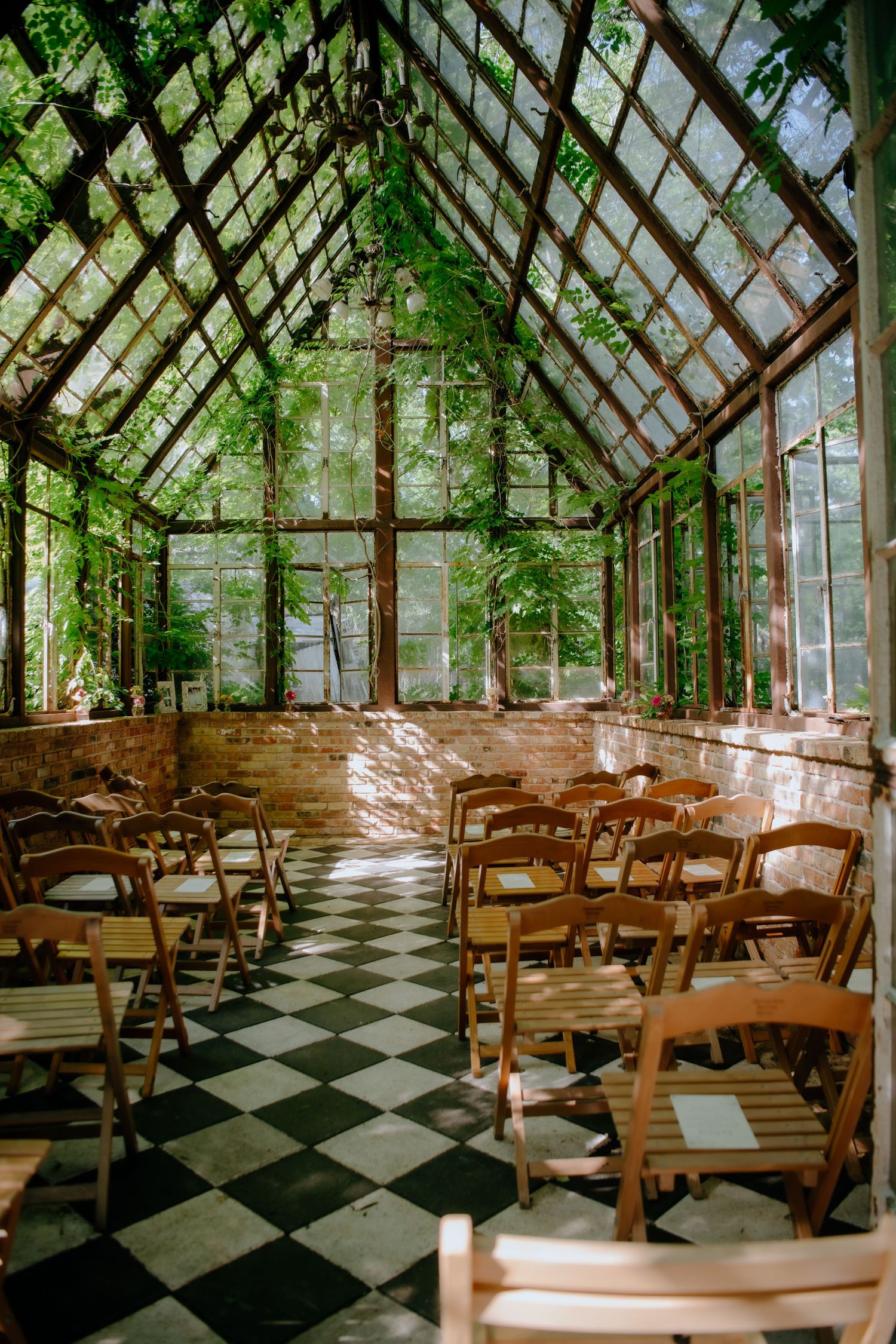 A greenhouse wedding venue with checkered floors and wooden chairs beneath vines and glass panels.