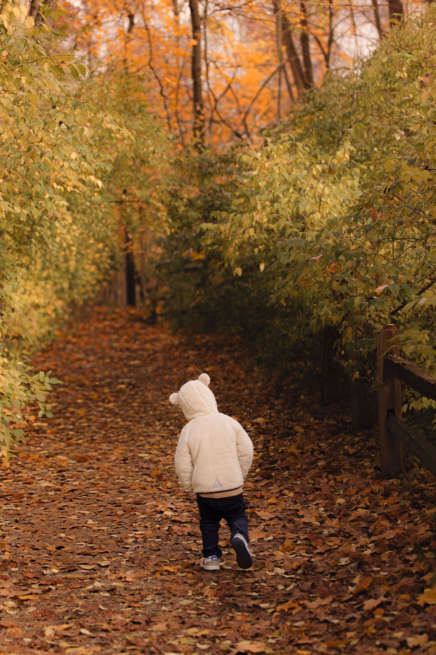 A person in a white sweater walks along a leaf-covered forest path surrounded by golden autumn foliage.