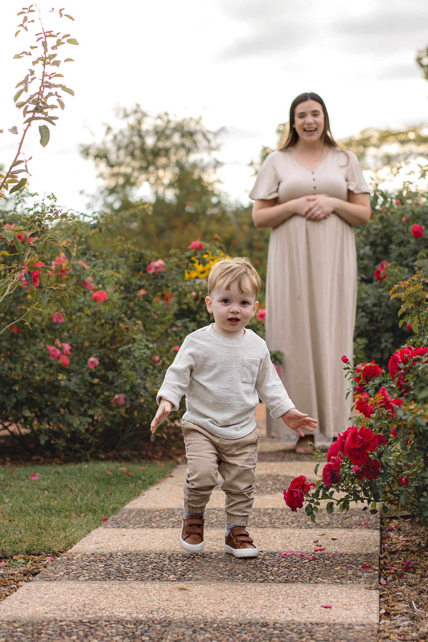 Family walking along garden path with vibrant red rose bushes in bloom.