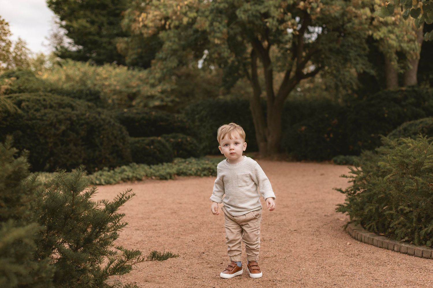 Toddler boy in beige outfit standing on gravel path surrounded by lush green hedges in a garden park.