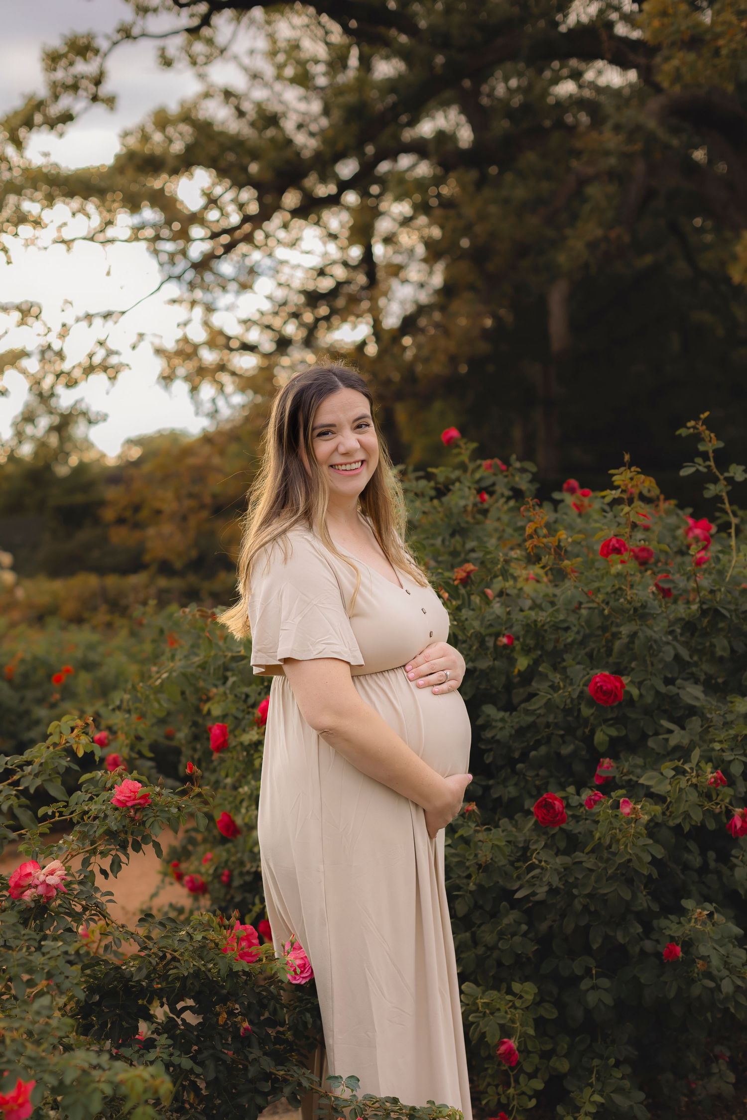 Maternity photos in a rose garden with soft natural lighting and autumn trees.
