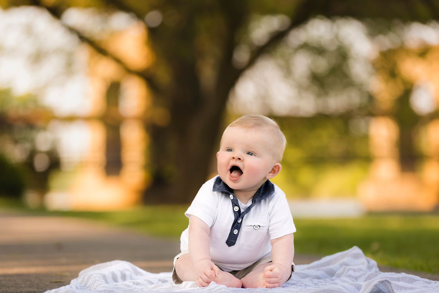 A series of outdoor photos showing a baby in various poses sitting on a blanket in a grassy park during sunset.