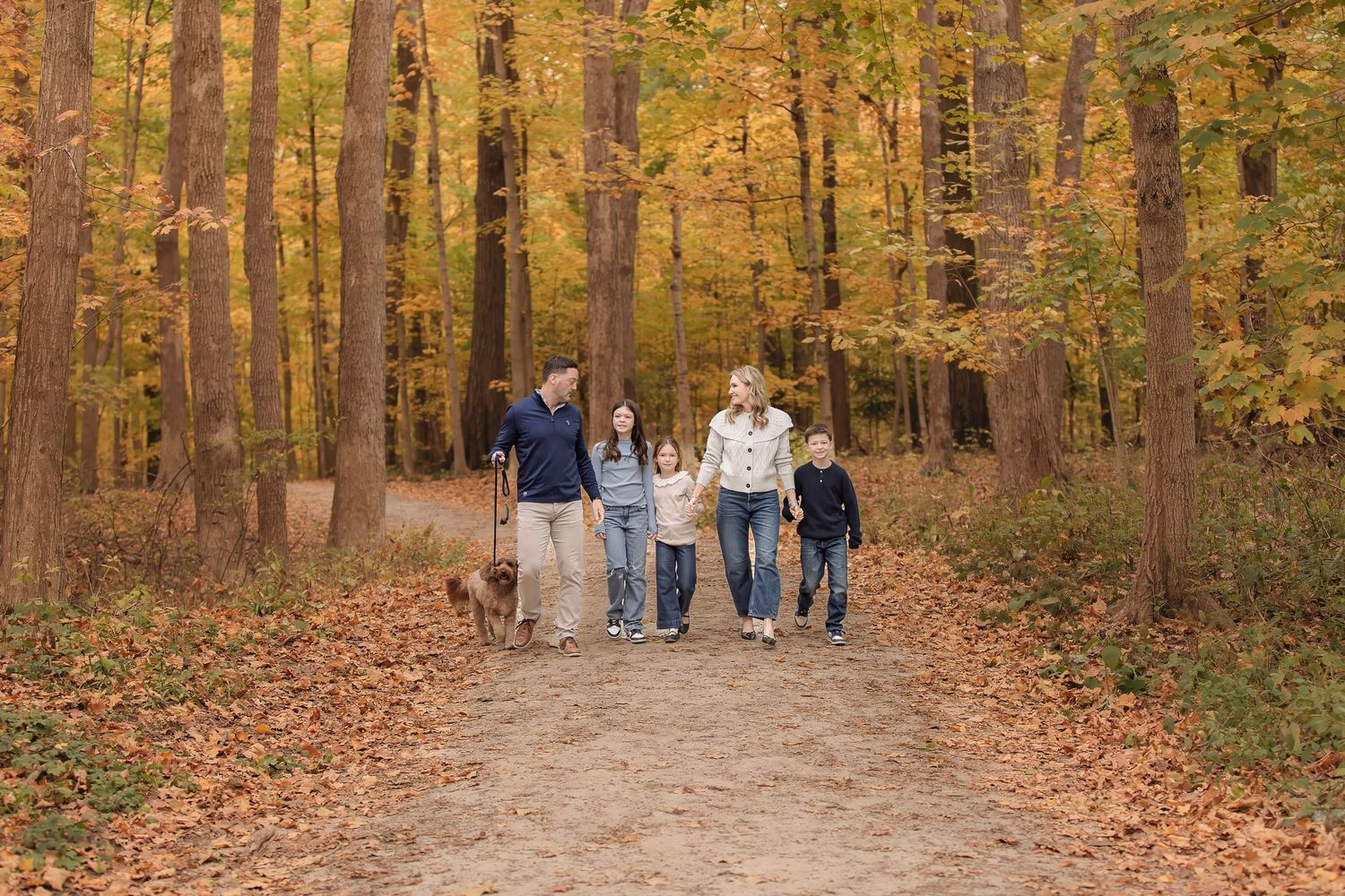 People walking on a scenic autumn trail surrounded by golden-leaved trees in a peaceful forest setting.