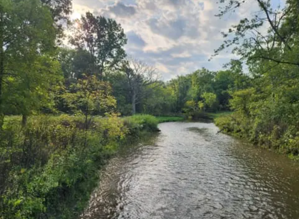 Serene river flowing through lush green forest with trees lining both banks under a partly cloudy sky.