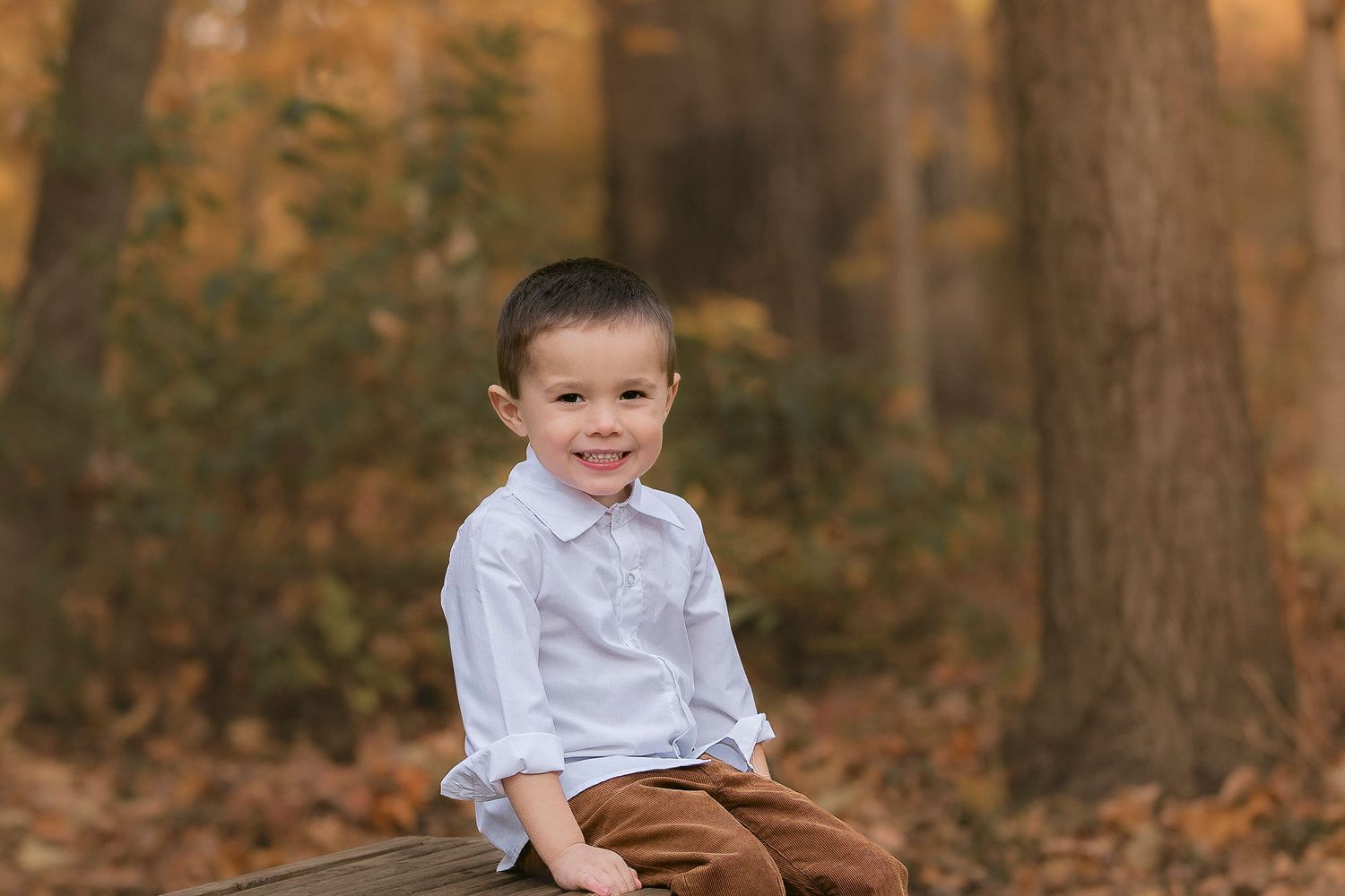 A smiling young boy in a white shirt and brown pants sits on a log in an autumn forest setting.