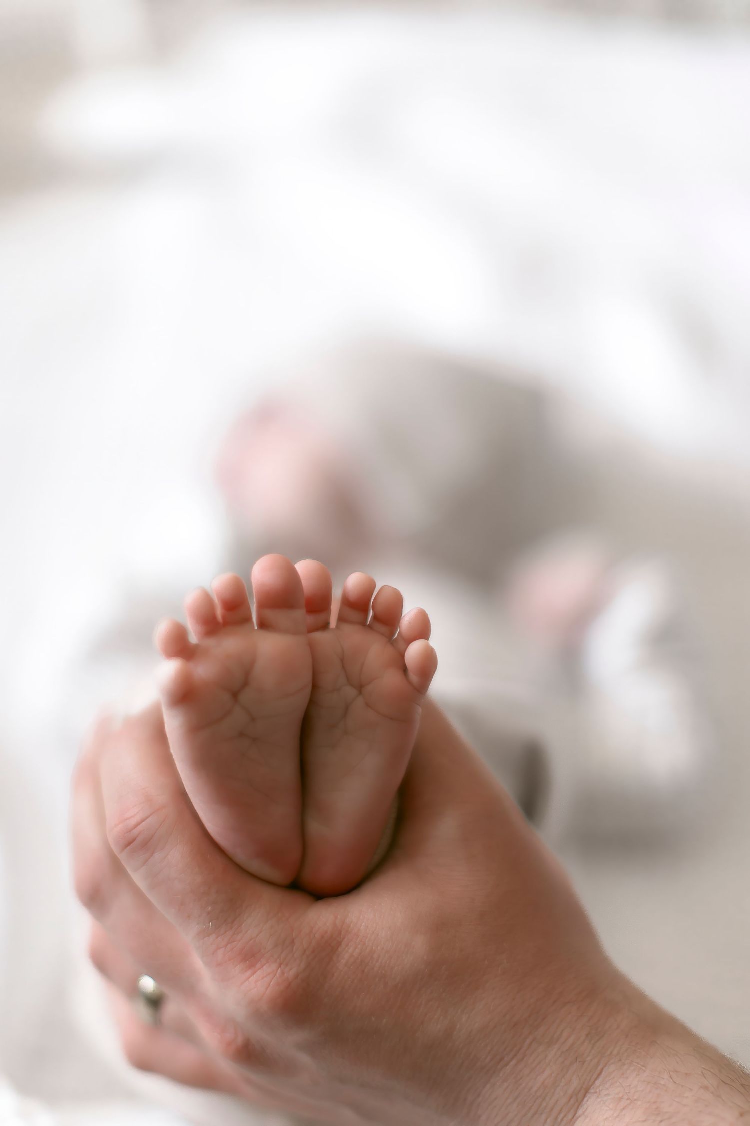 Close-up of a parent gently holding a newborn baby's tiny feet in their hand against a soft white background.