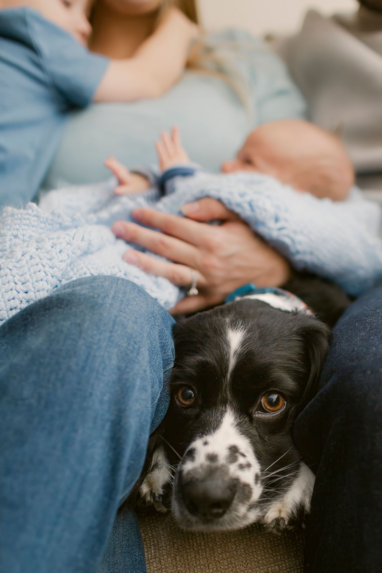 Black and white dog resting chin on lap of couple holding newborn baby wrapped in blue crochet blanket.