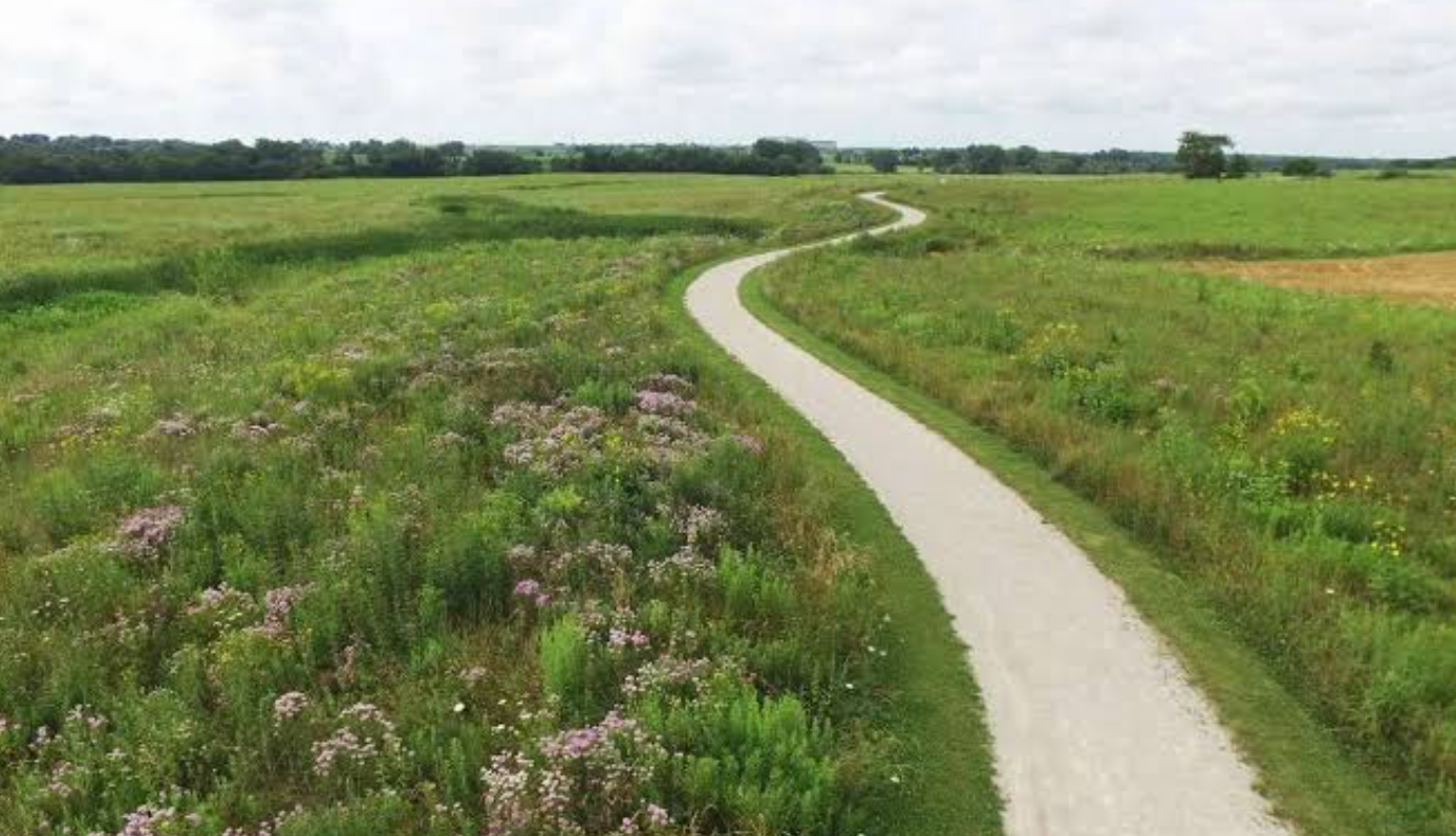 Winding paved trail through lush green prairie meadow with wildflowers under cloudy sky.