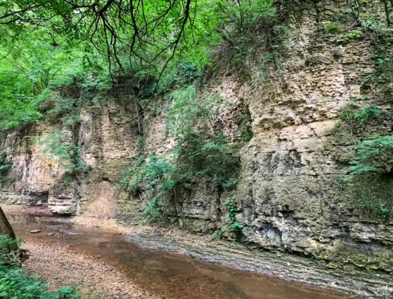 A scenic rocky limestone cliff face with lush green trees and a muddy trail winding through a natural canyon.