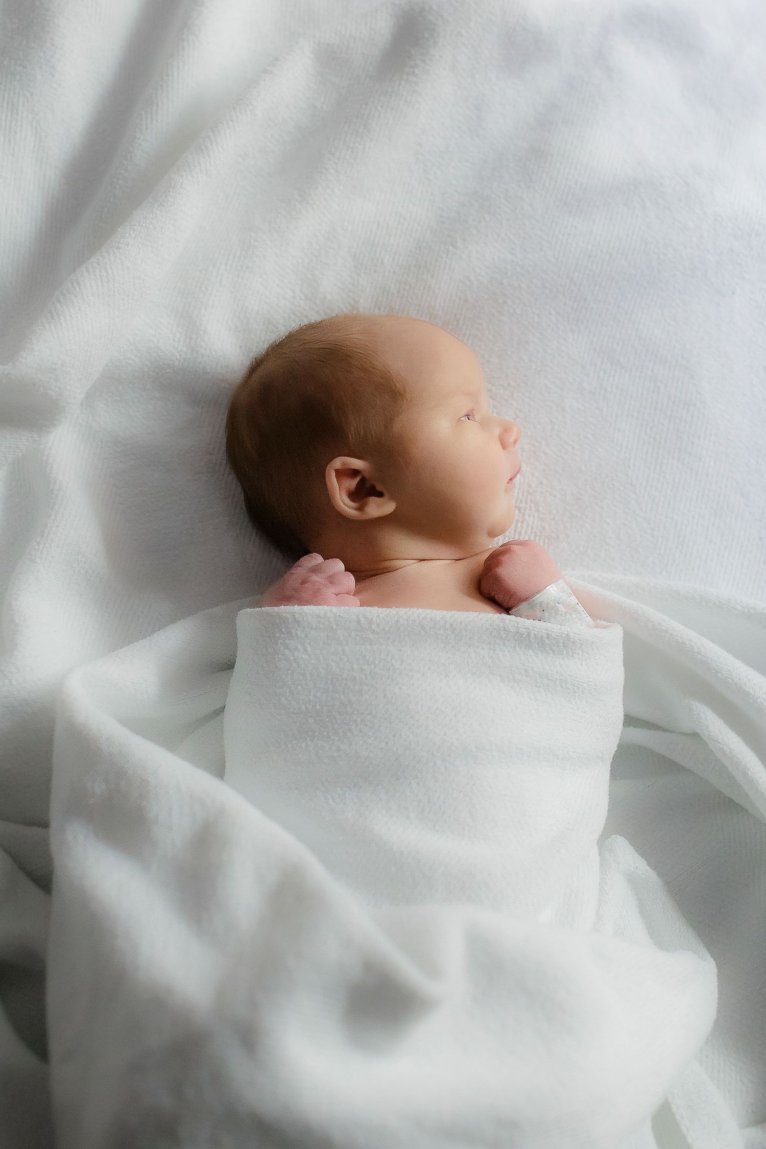 Sleeping newborn wrapped in soft white blanket against light background.