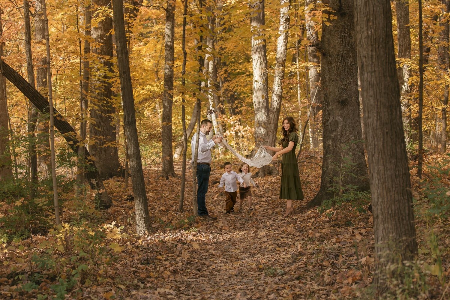 Golden autumn forest scene with sunlight filtering through trees and fallen leaves covering the ground.