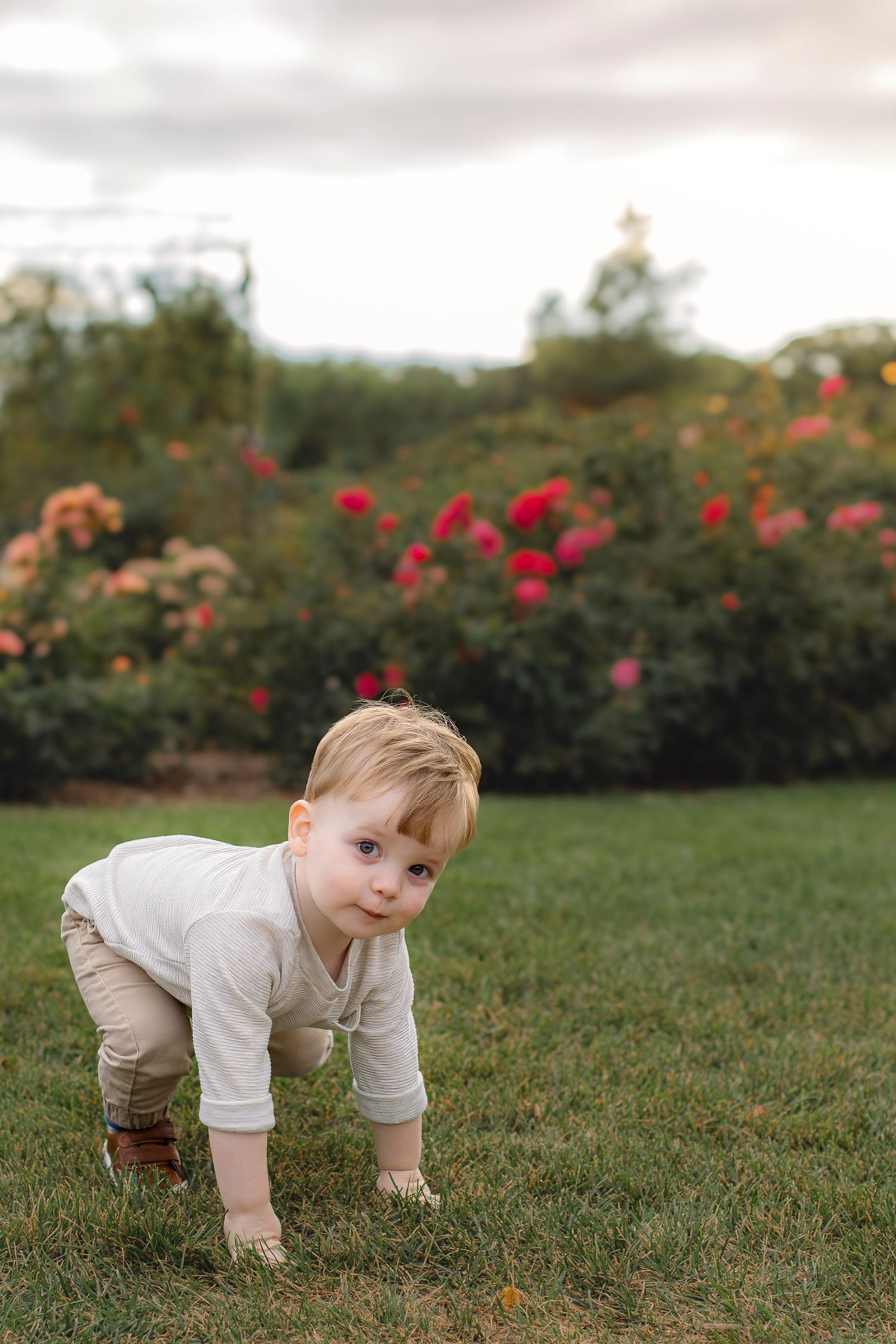 Toddler crawling on grass near rose garden during autumn.
