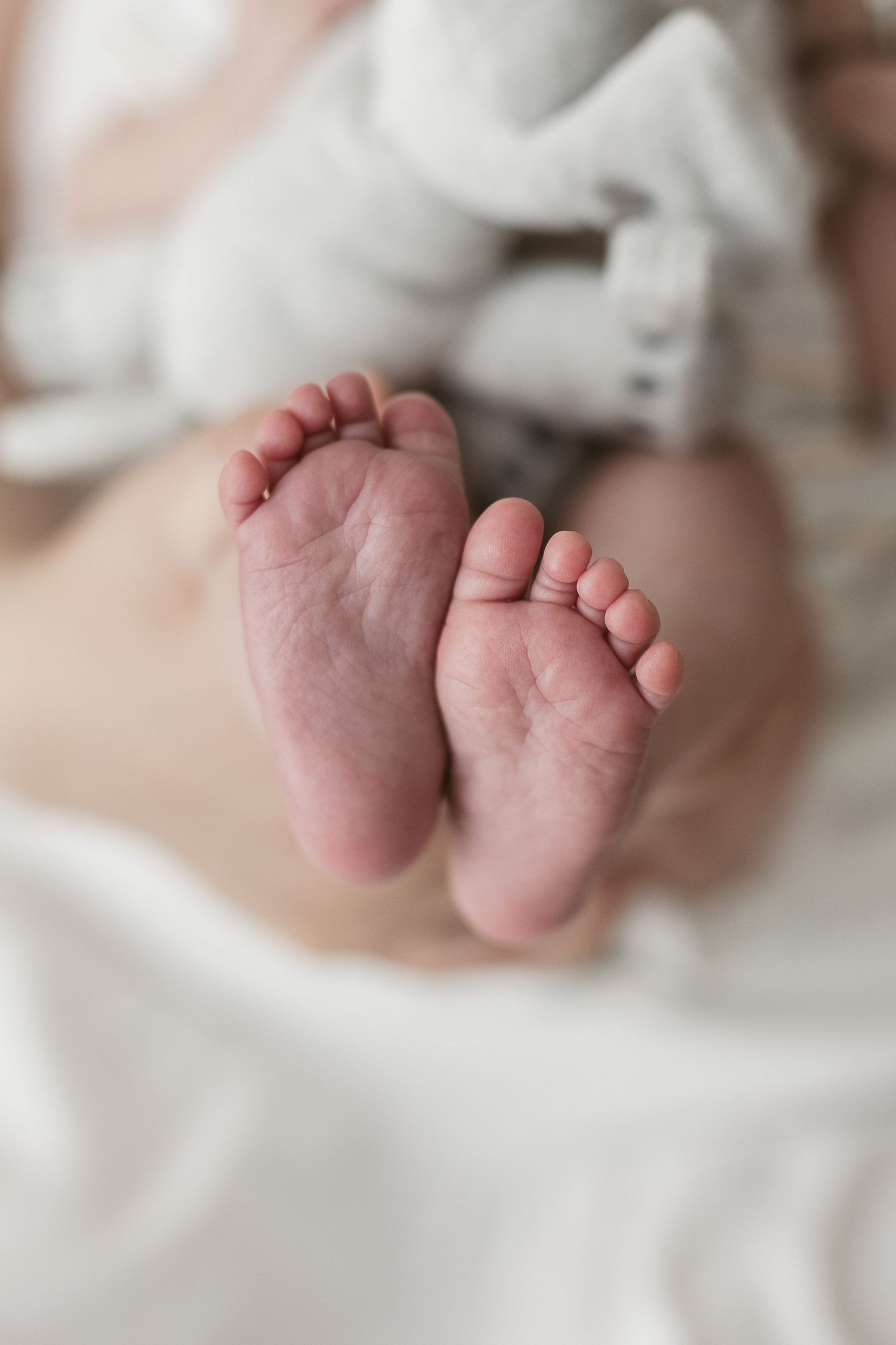 Delicate newborn baby feet with tiny toes against white fabric background.