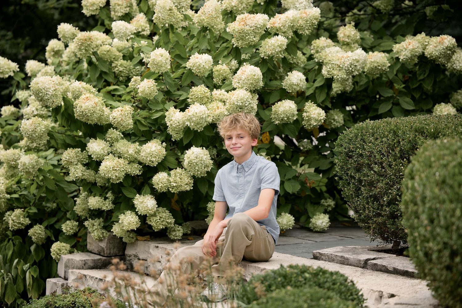 A young boy sits smiling on stone steps surrounded by lush white hydrangea bushes in a garden.