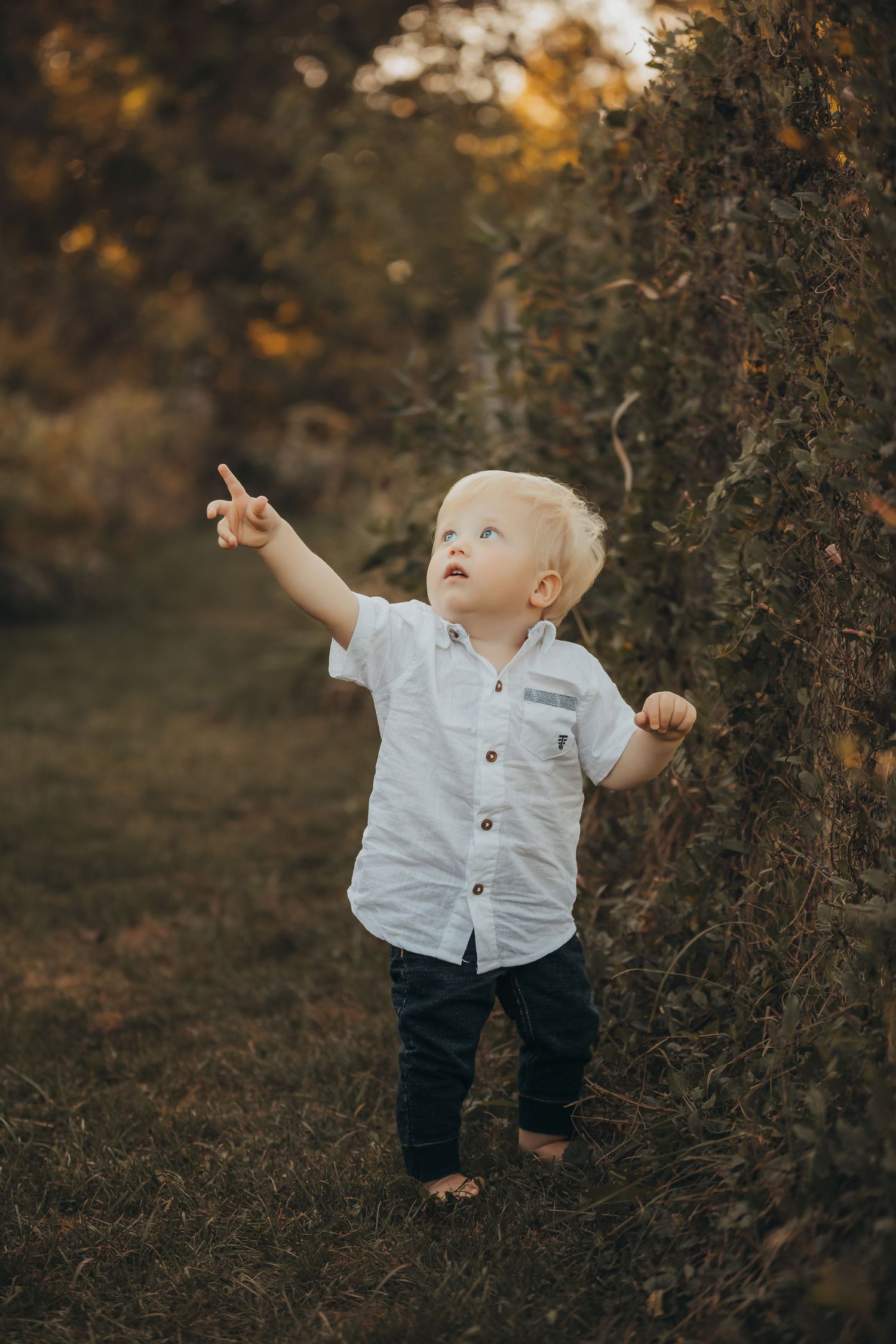 Small child in white button-down shirt pointing up at something in autumn setting.