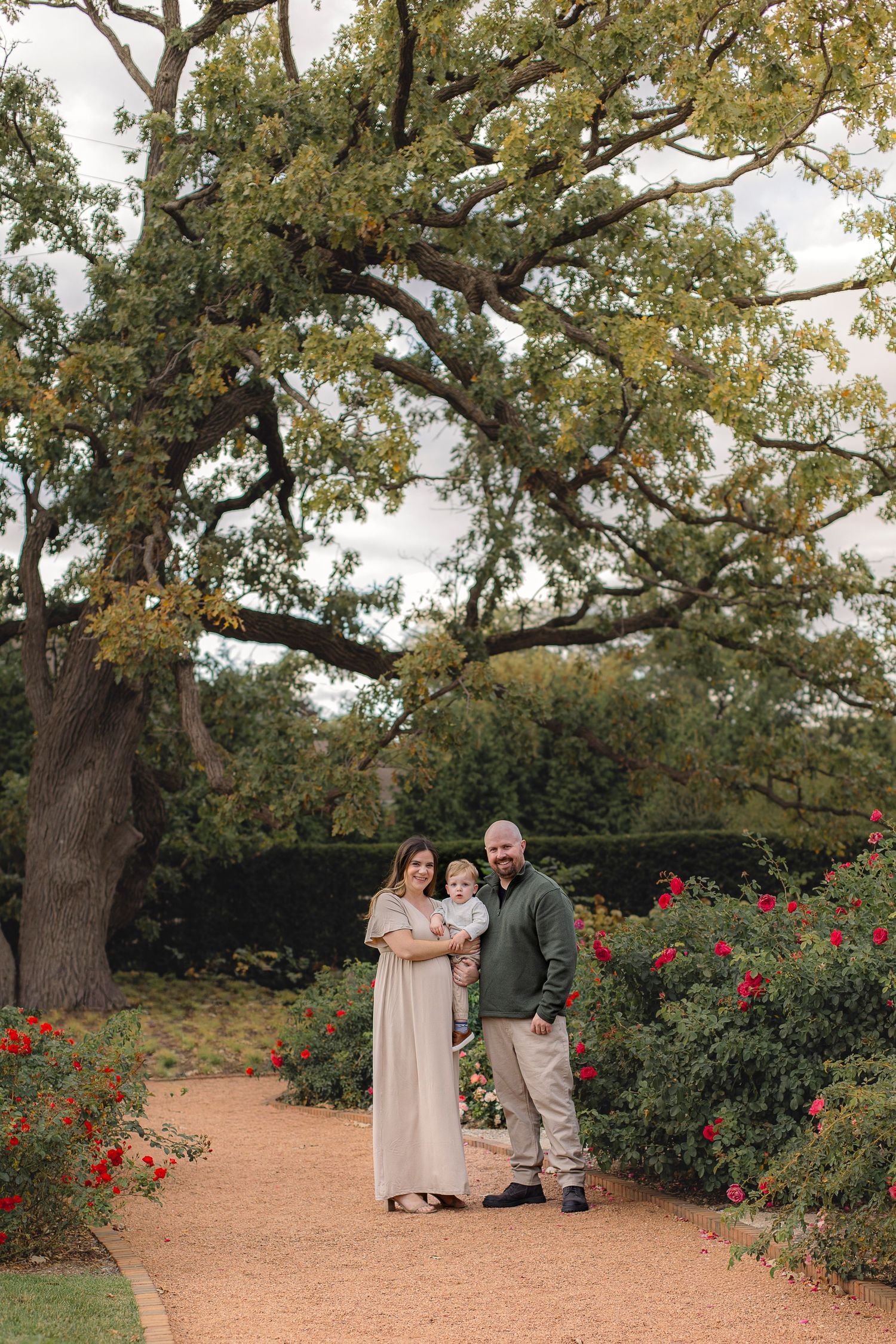 A couple poses together in a romantic garden setting surrounded by blooming red roses and mature oak trees.