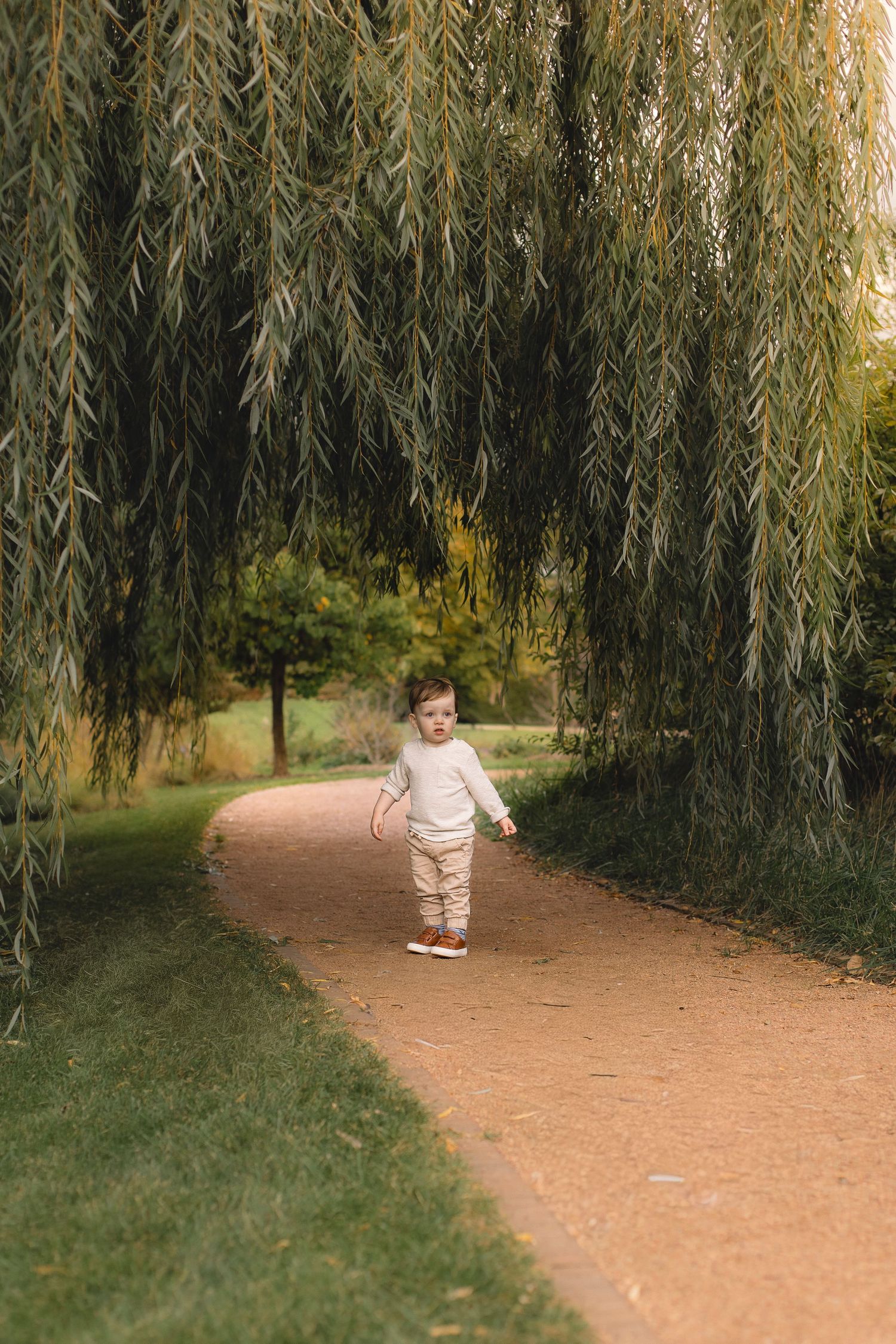 Child walking along path beneath drooping willow tree branches.