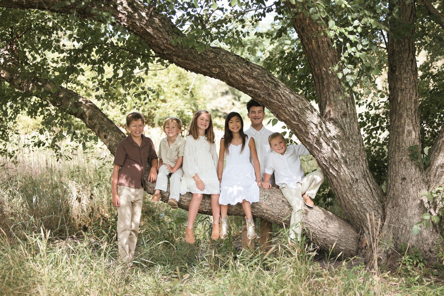 Family of six posing together on a fallen tree trunk in a lush green outdoor setting.