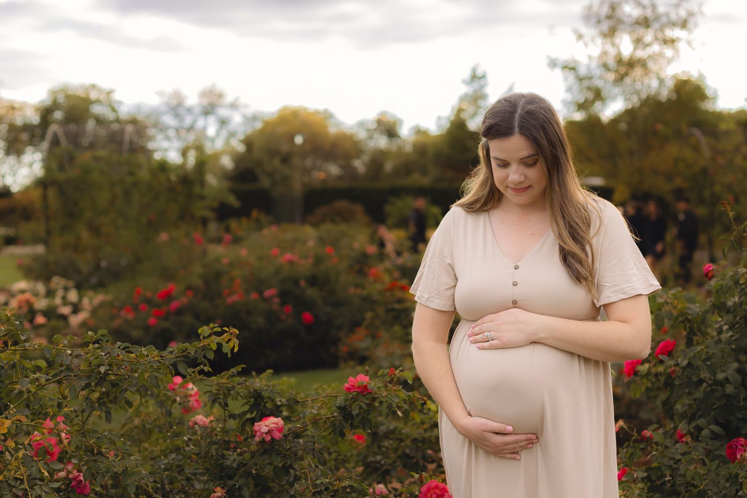 Expectant mother poses in a blush dress against a backdrop of blooming roses.
